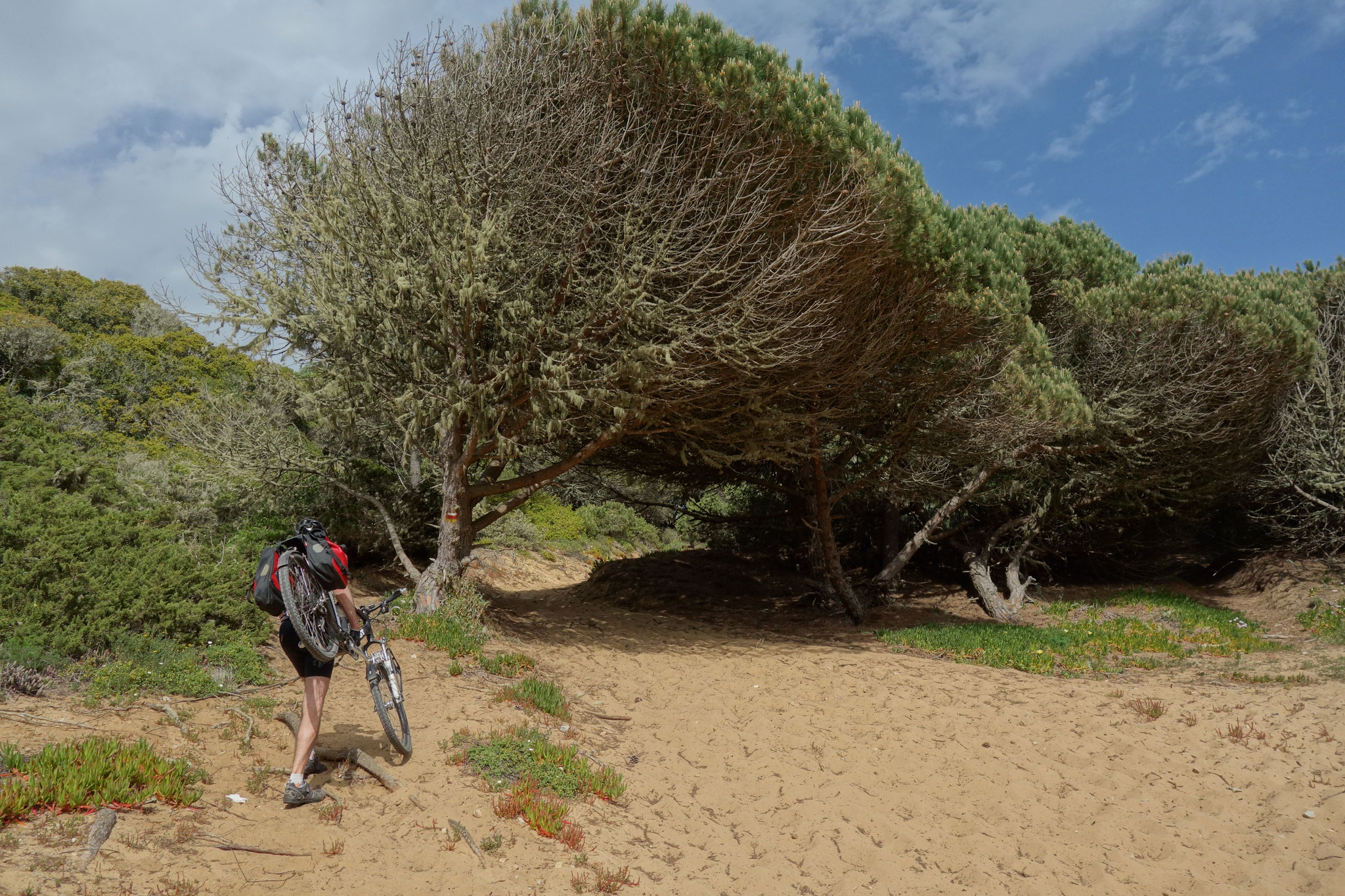 MTB-Tour bei Sintra