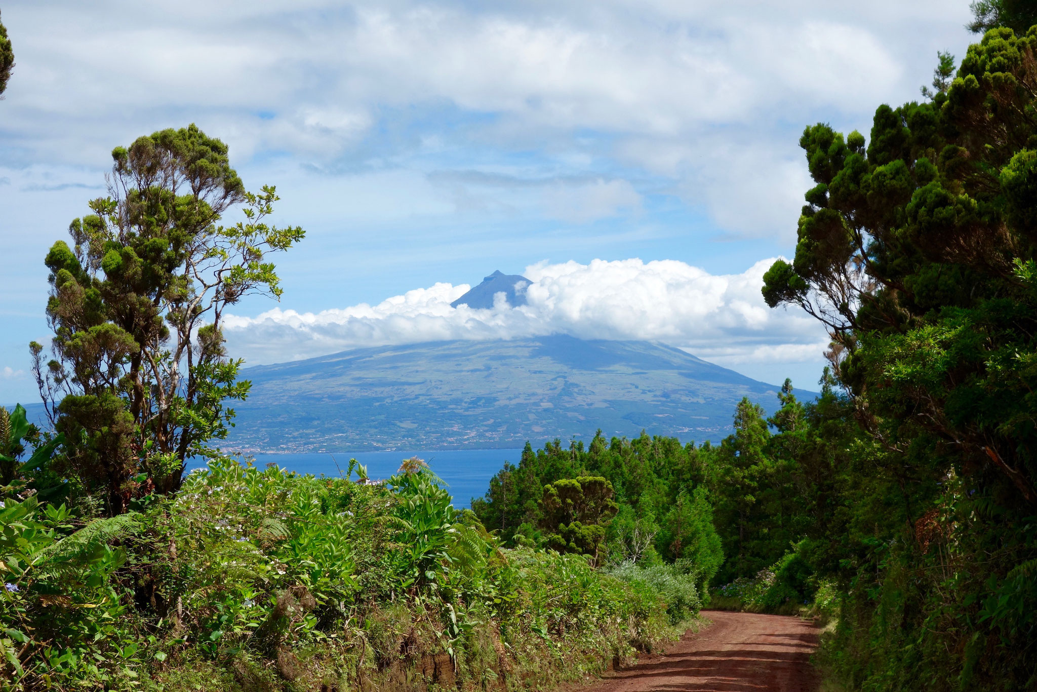 Ausblick auf Pico