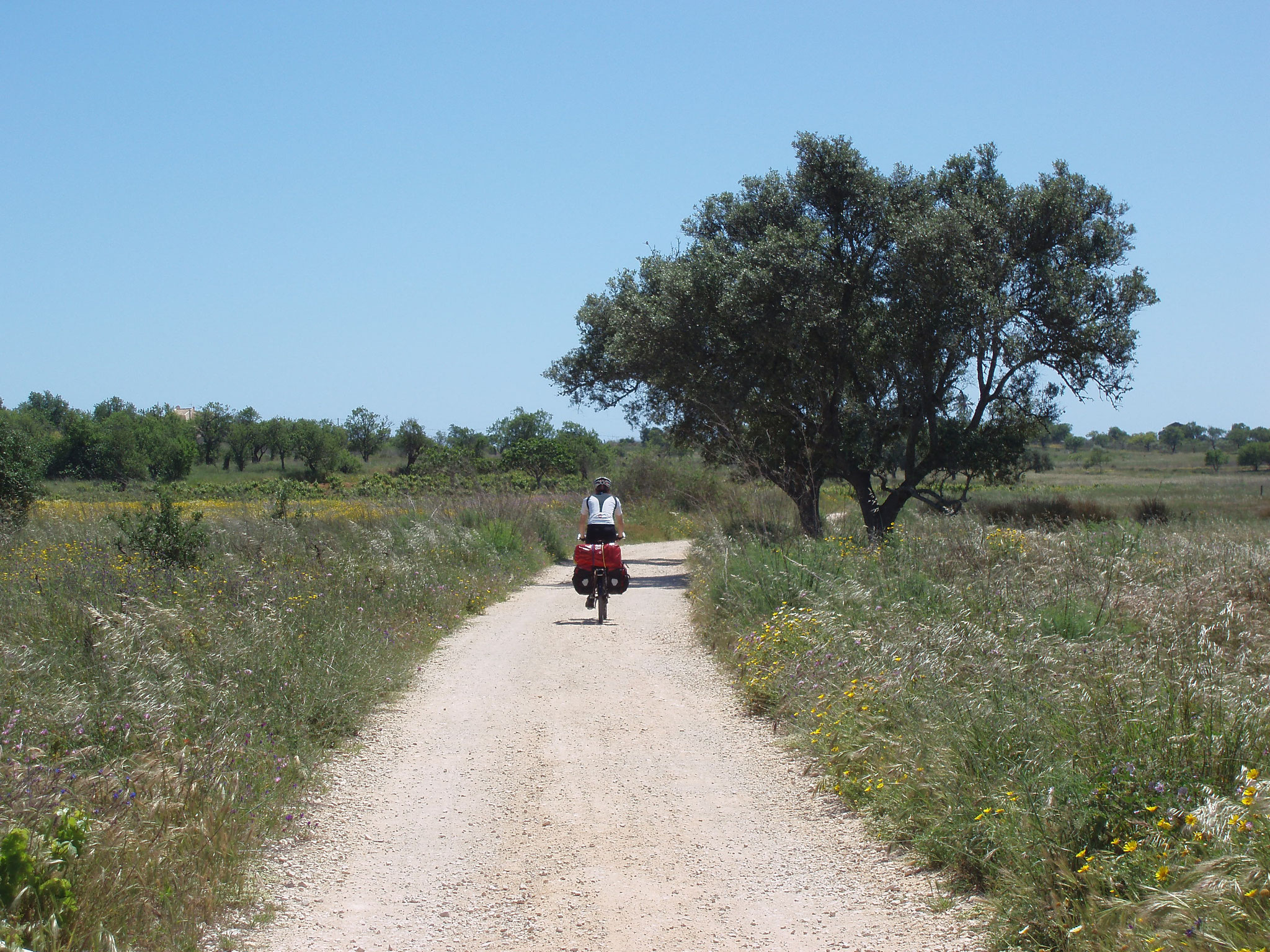 Auf dem Ecovia do Litoral