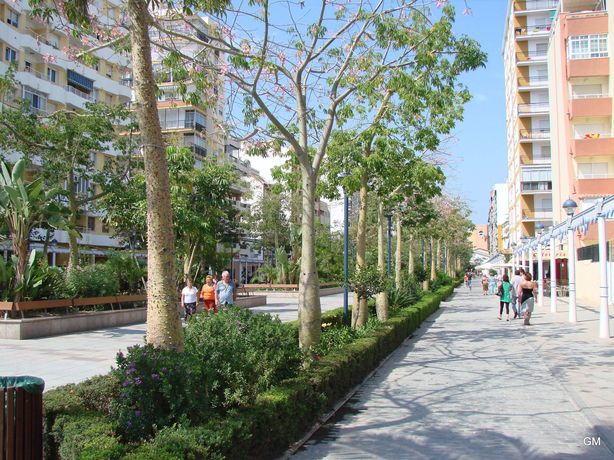 Paseo Larios in Torre del Mar