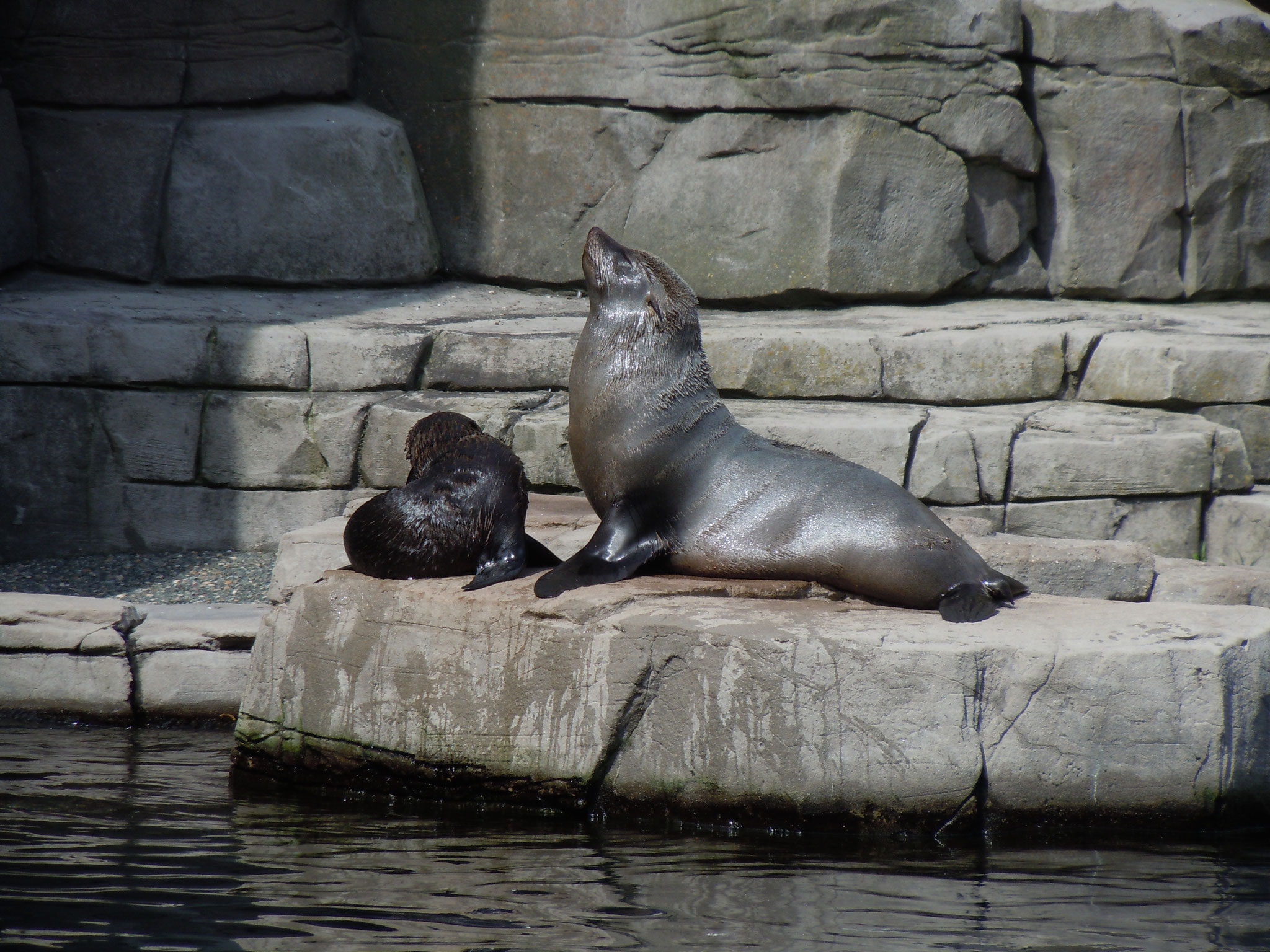 Tierpark Hagenbeck