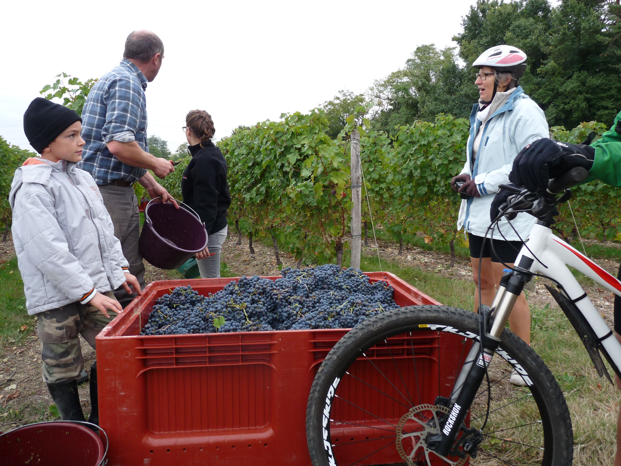 Vins et Champignons Saumur 2016