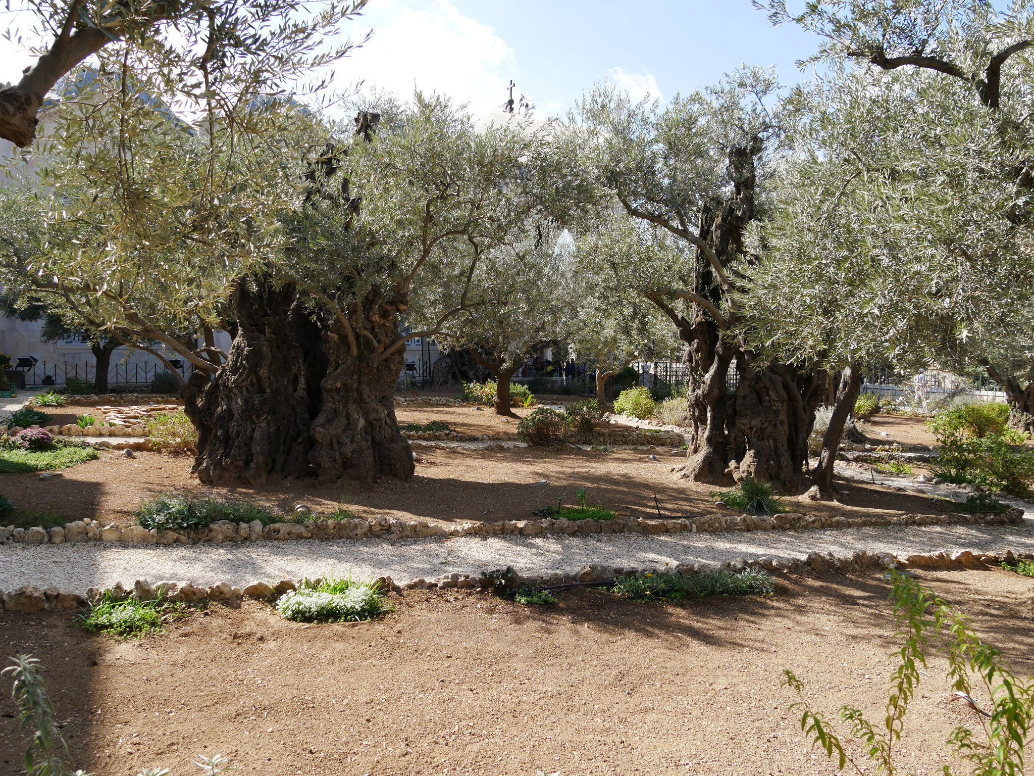 Im Garten Gethsemane