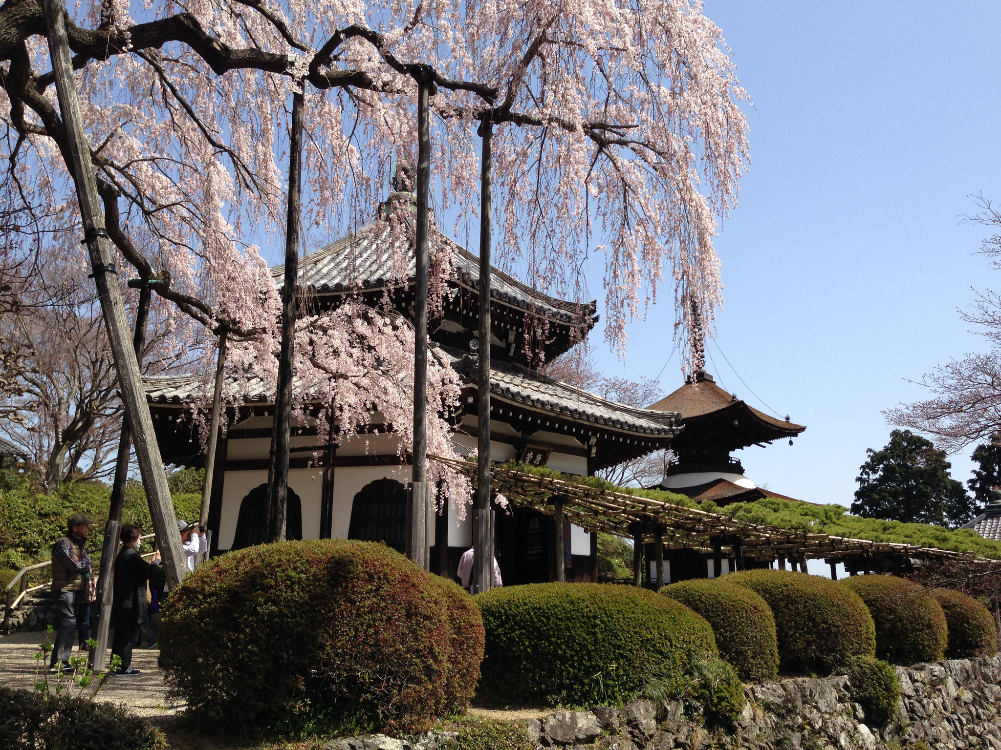 善峯寺