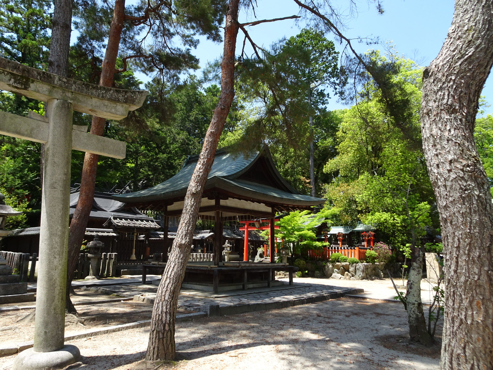 今宮神社　紫野稲荷