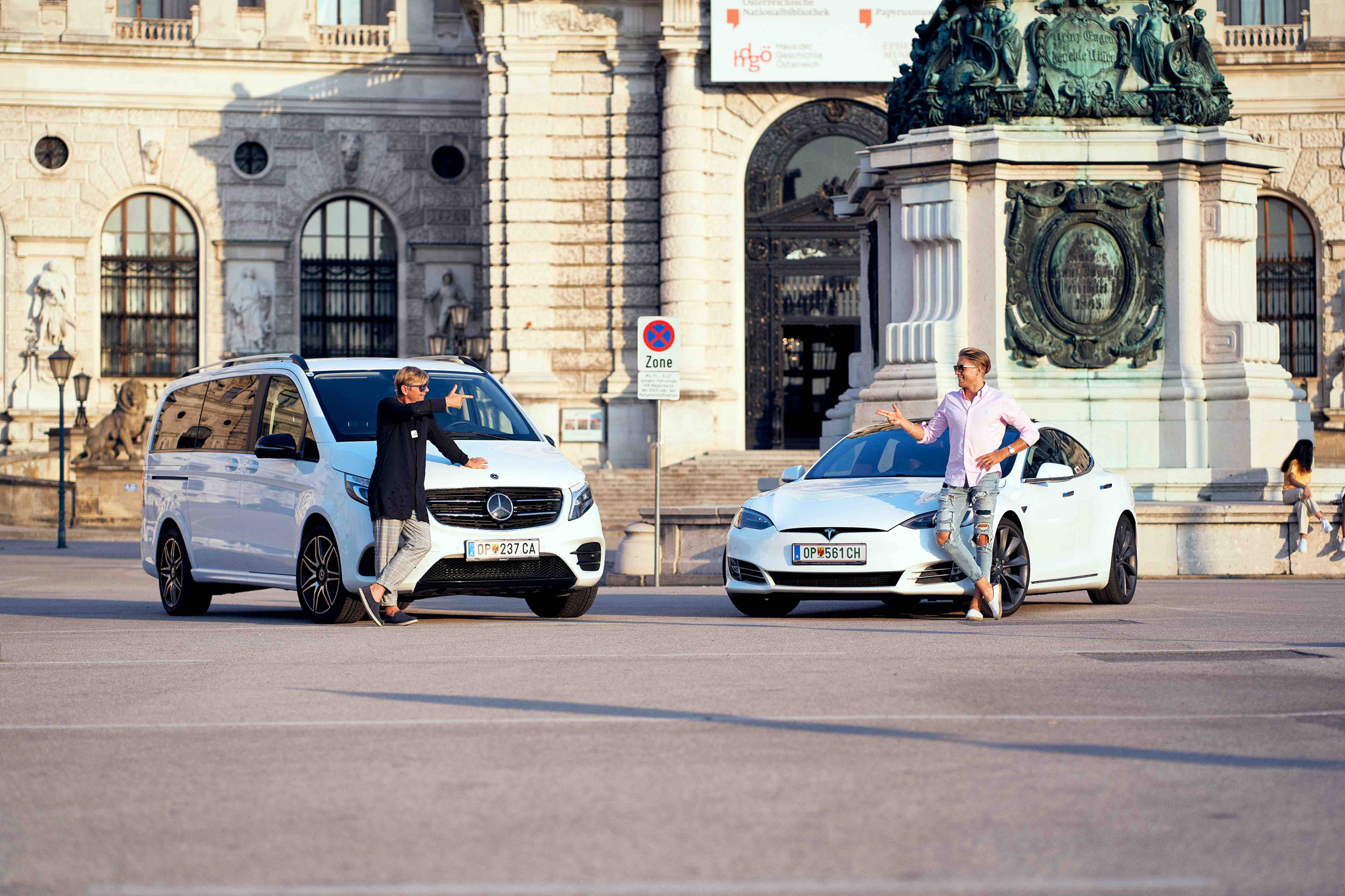 Tour privado en coche por los palacios y monumentos históricos de Viena