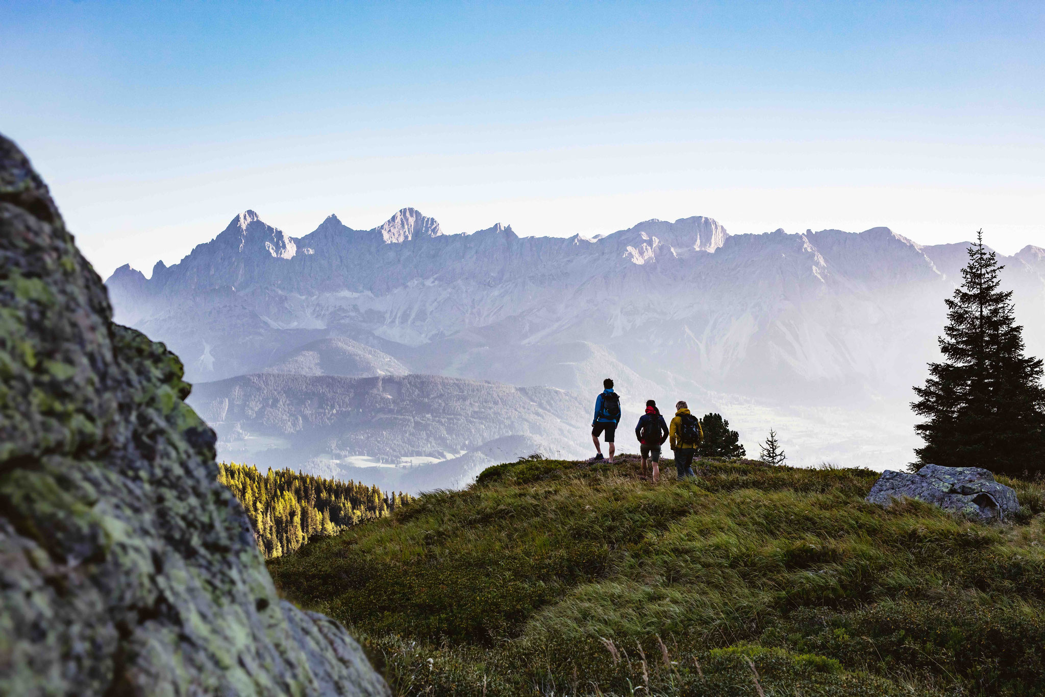 Excursión privada a los Bosques de Viena con vistas panorámicas y pueblos tradicionales cerca de la ciudad.