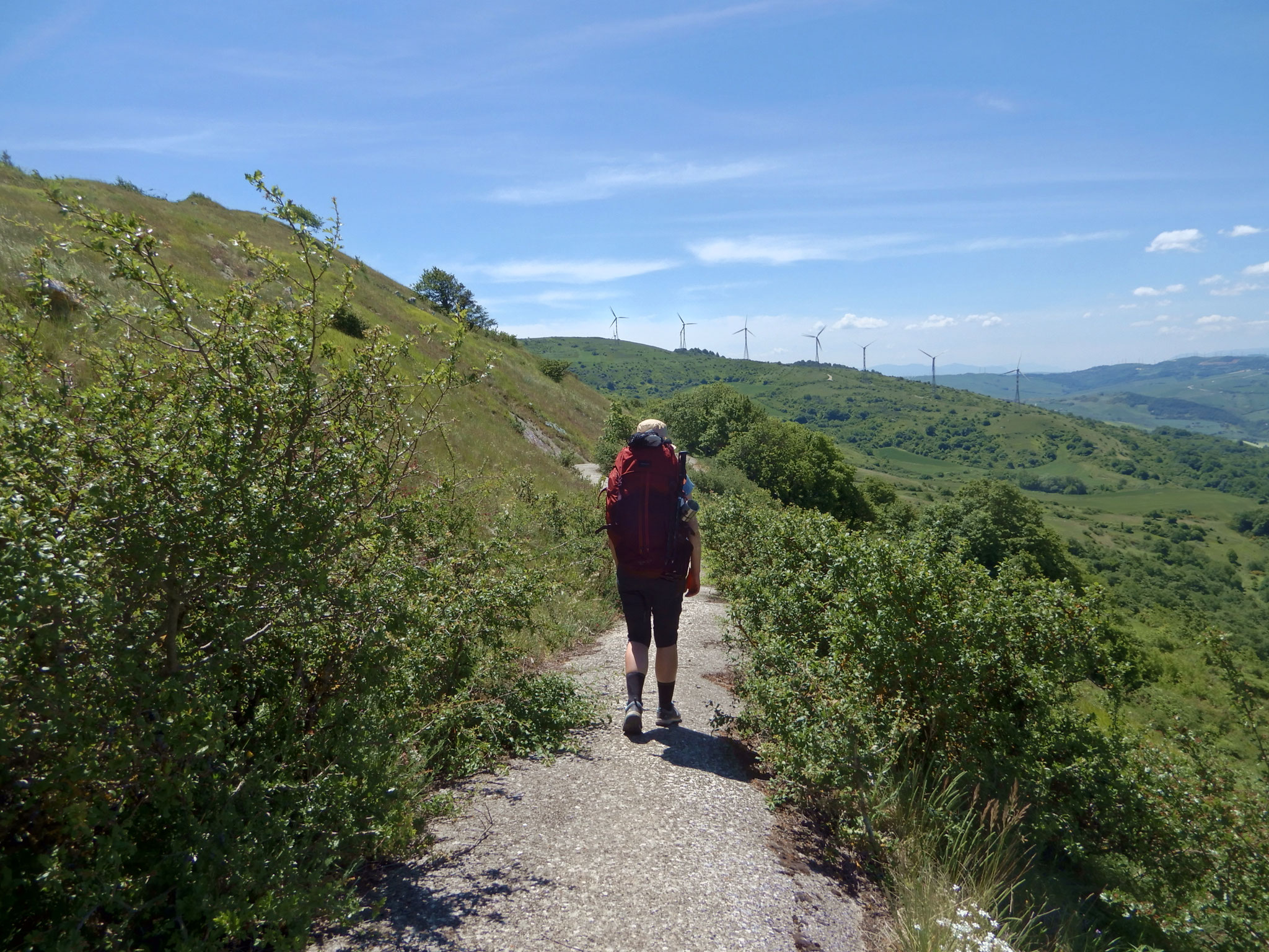 Salendo verso Monte Crispiniano