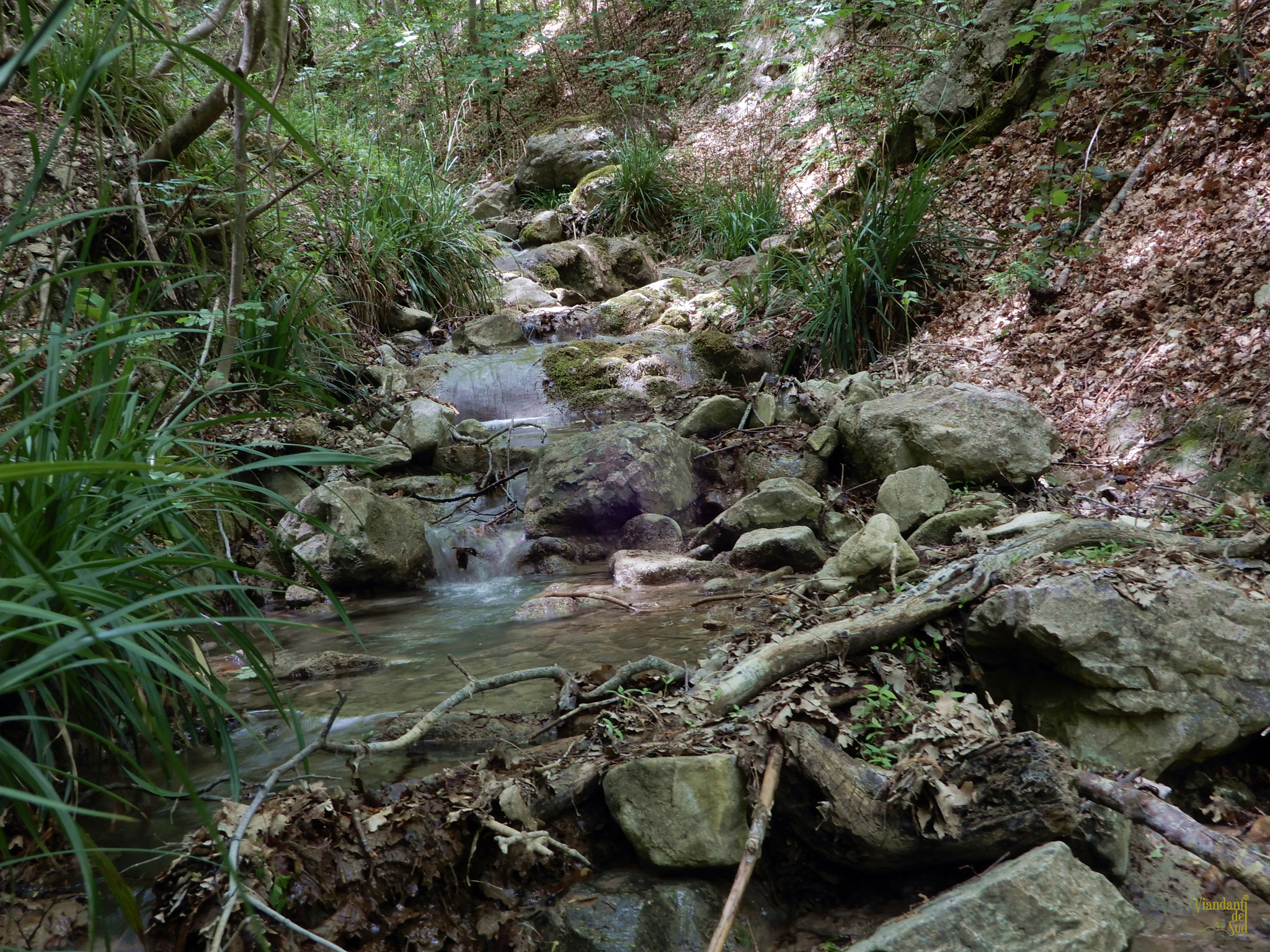 U canale di tegghje.