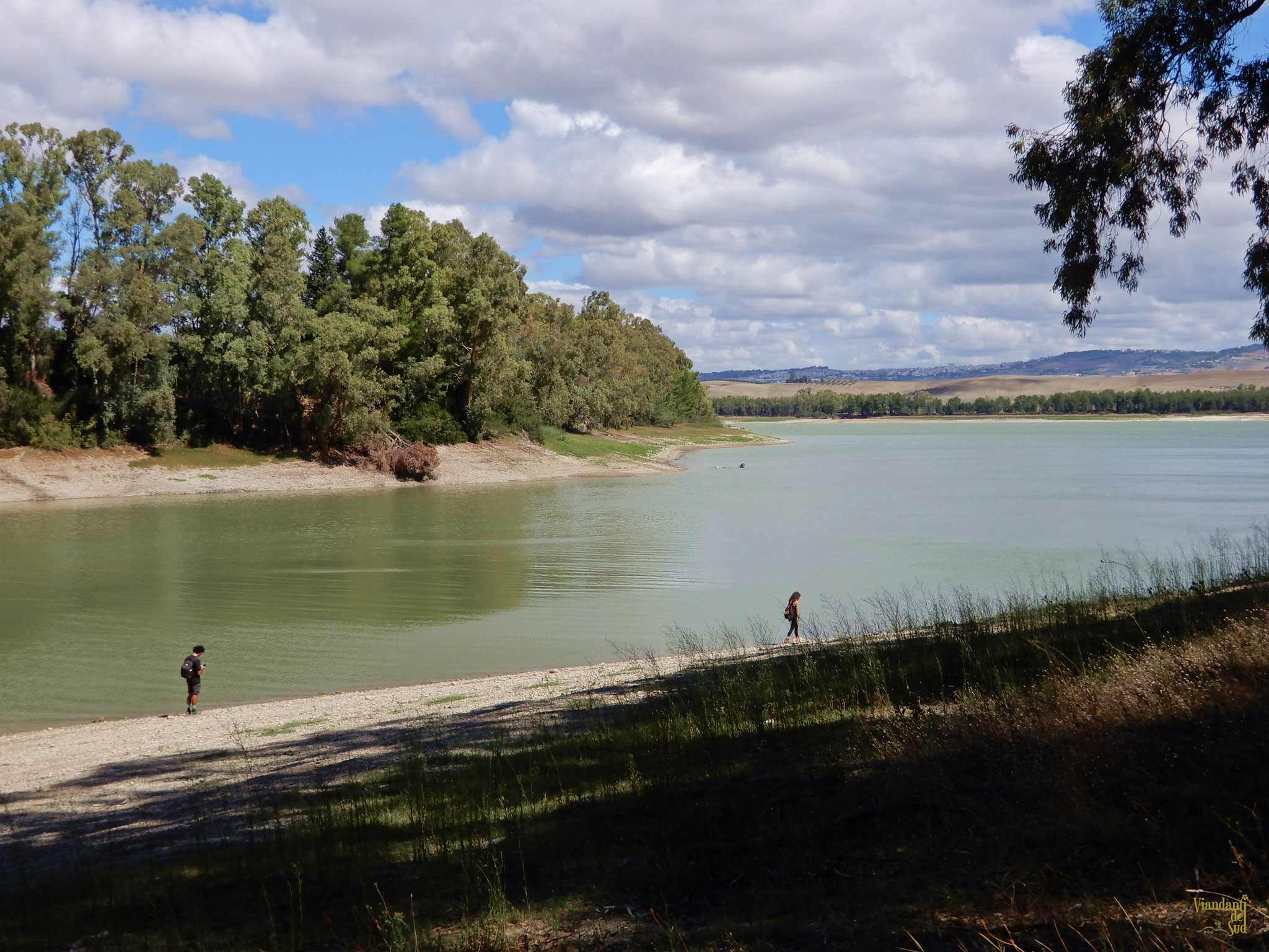Lago San Giuliano: fiume Bradano