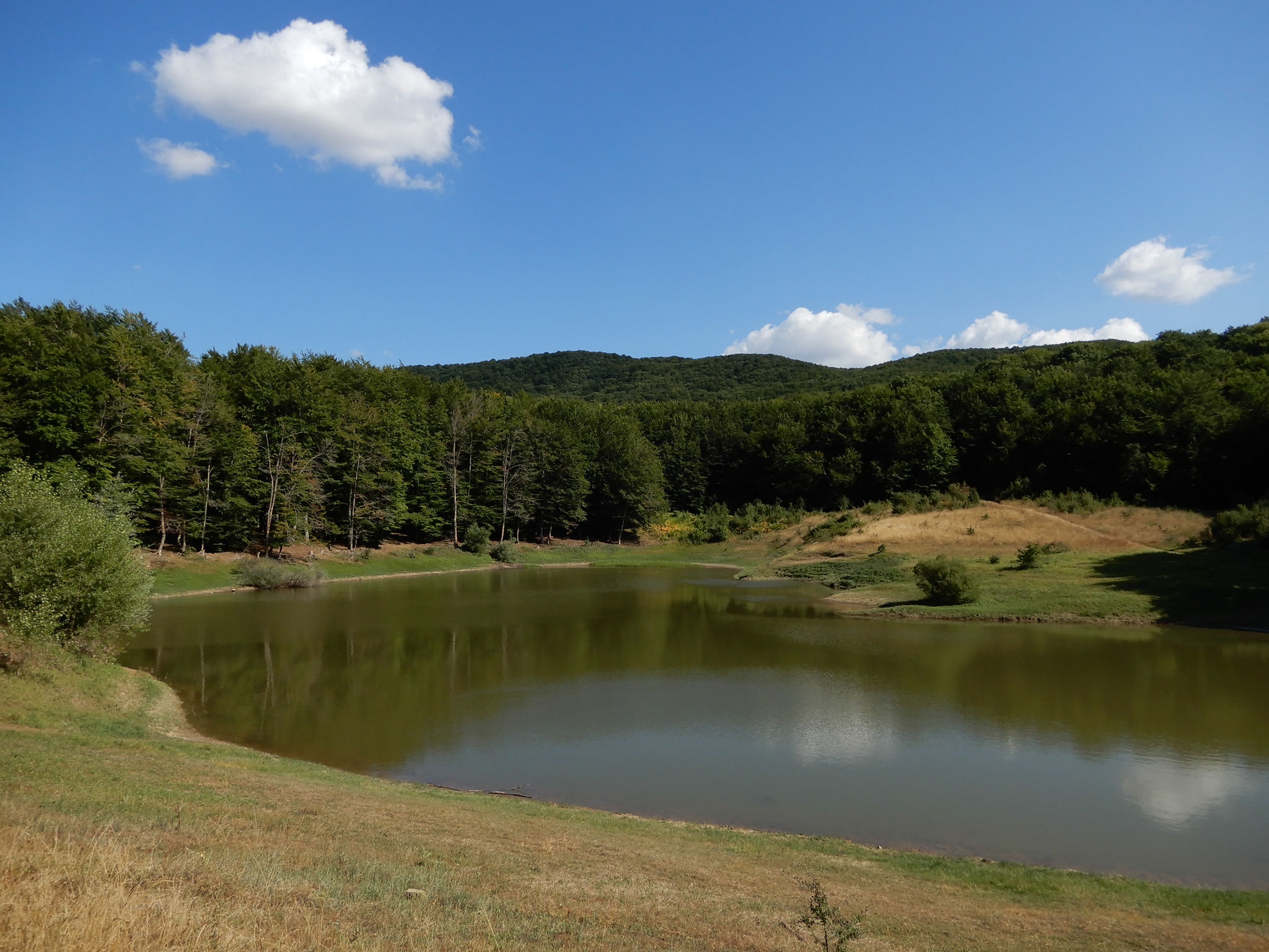 Lago Scuro nel Bosco di Ruoti