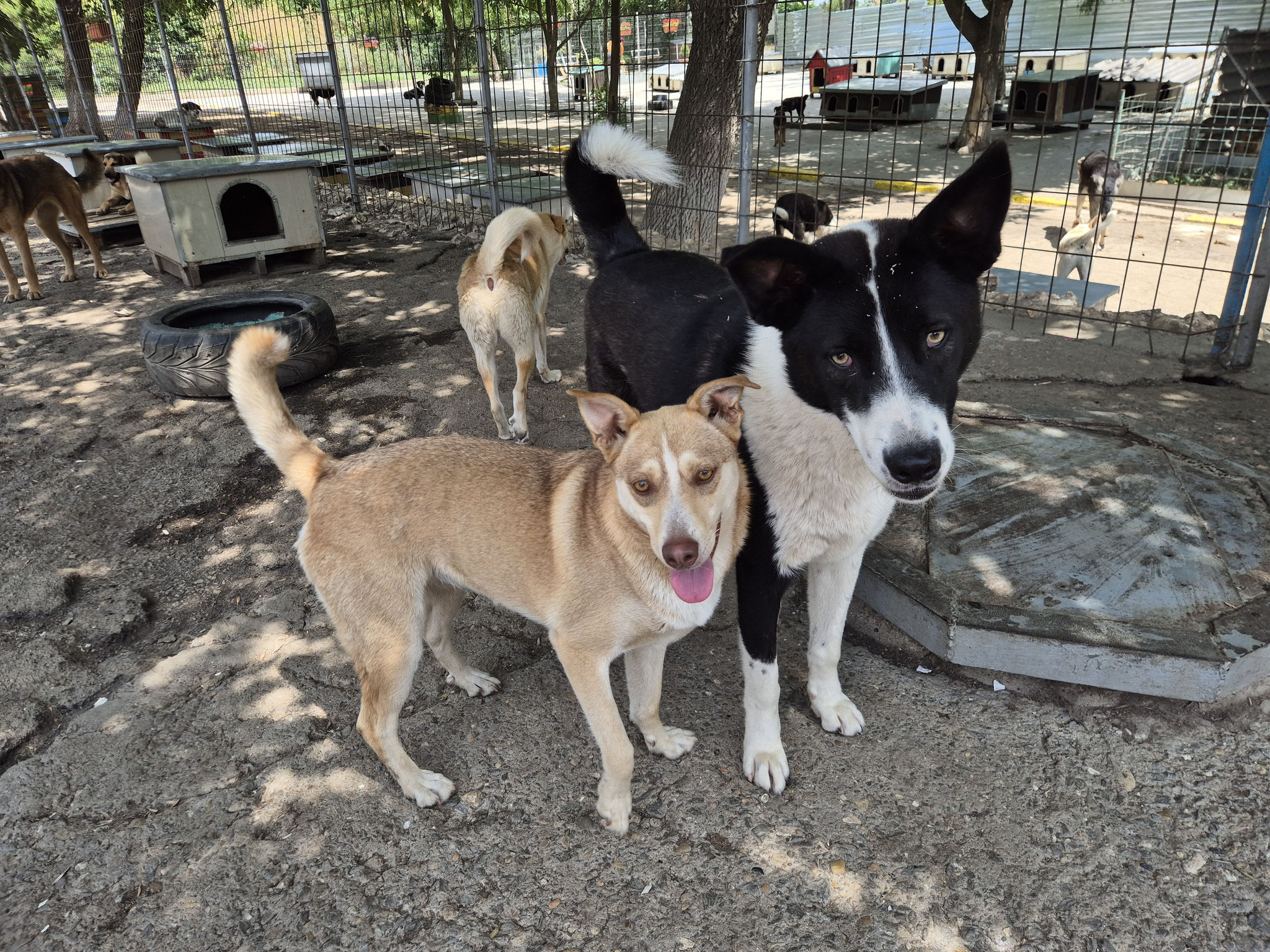 Candy und Oscar