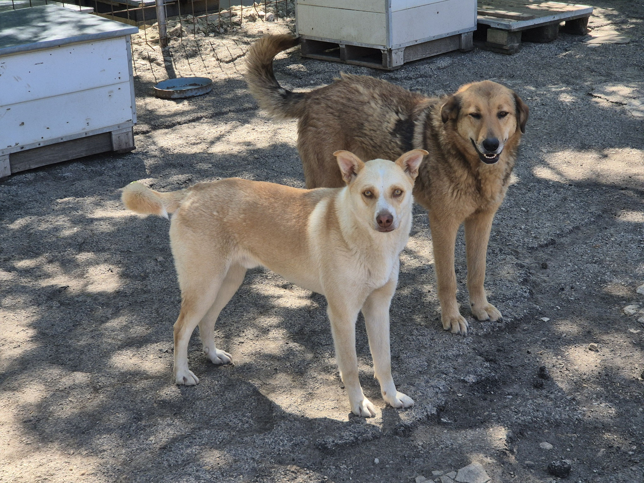 Casper und Almira