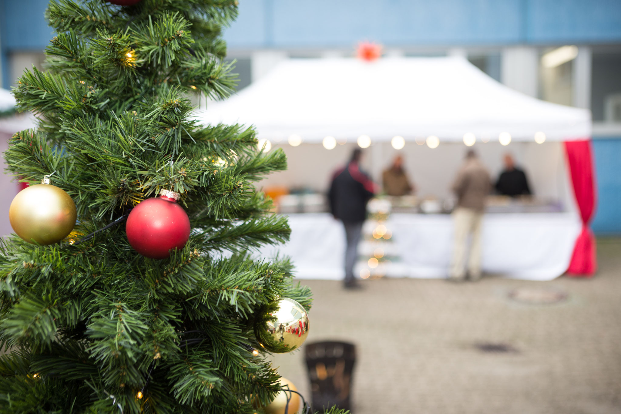 <h2>Tannenbaum mit Kugeln </h2>sorgt auch auf Ihrer Feier in Braunschweig für gute Stimmung!