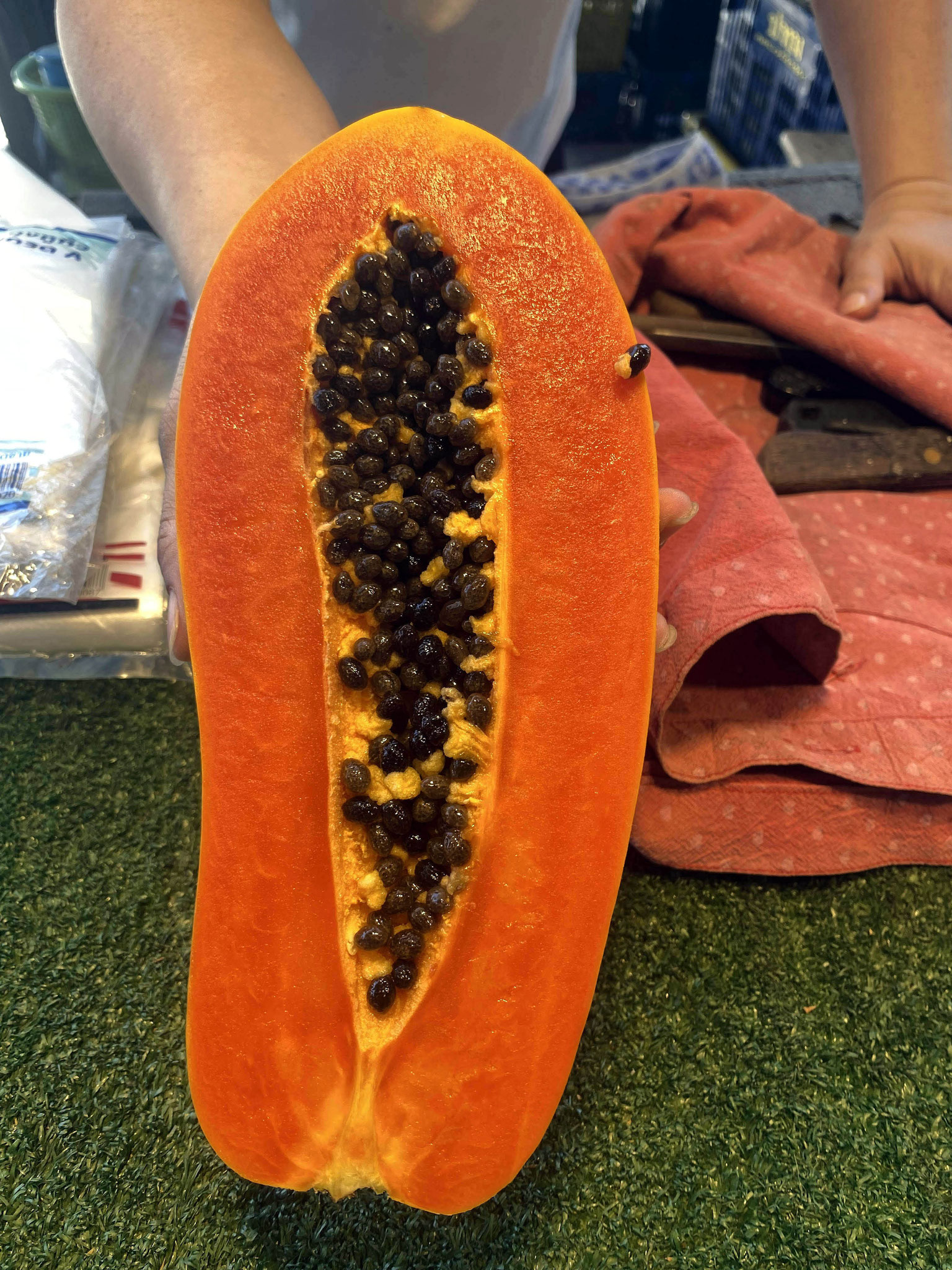 Golden Papaya 苗木 Nangokunomori Com