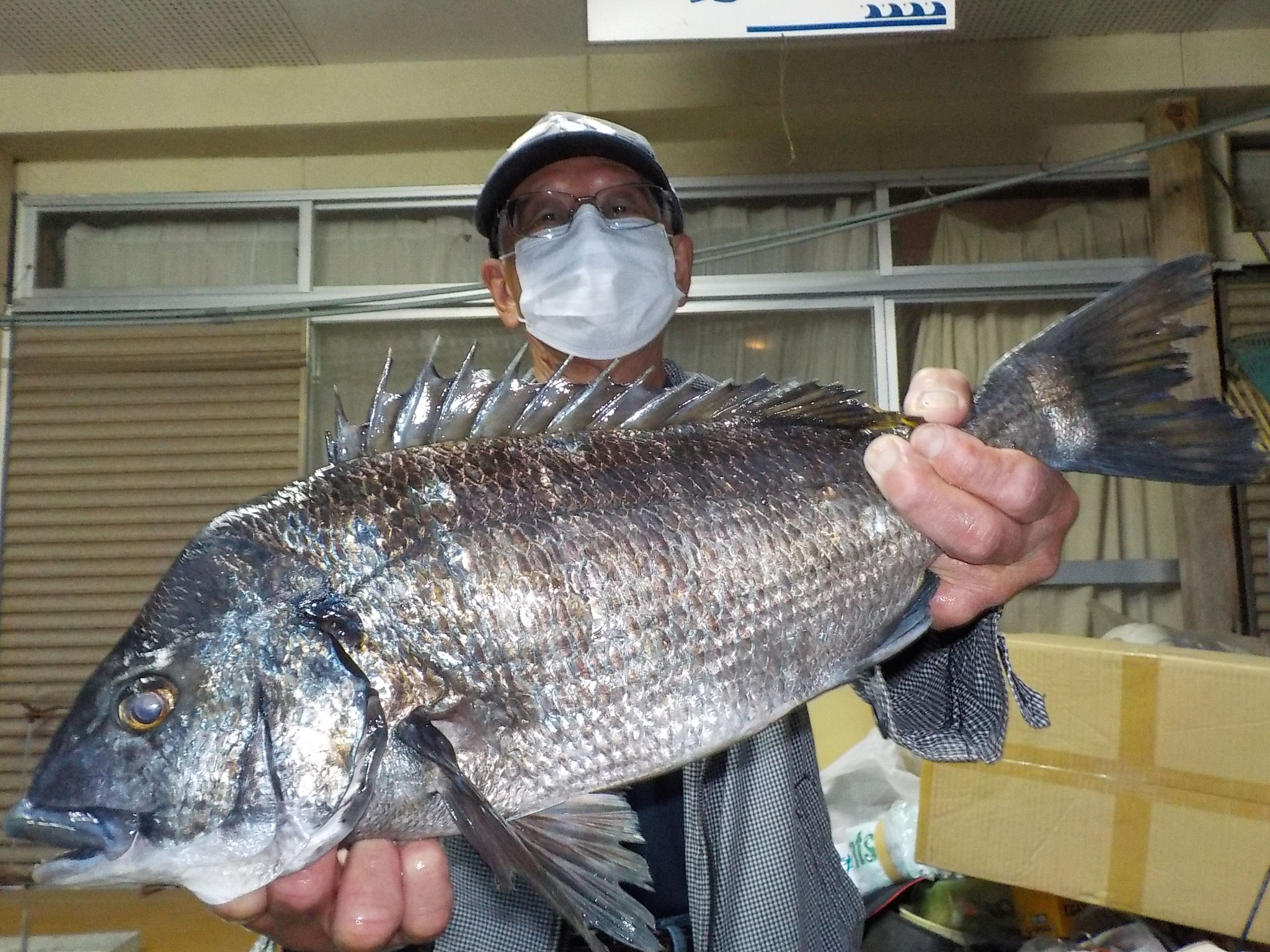 ３月２７日　磯釣りで前田さん　ガバチヌ５０．３ｃｍ