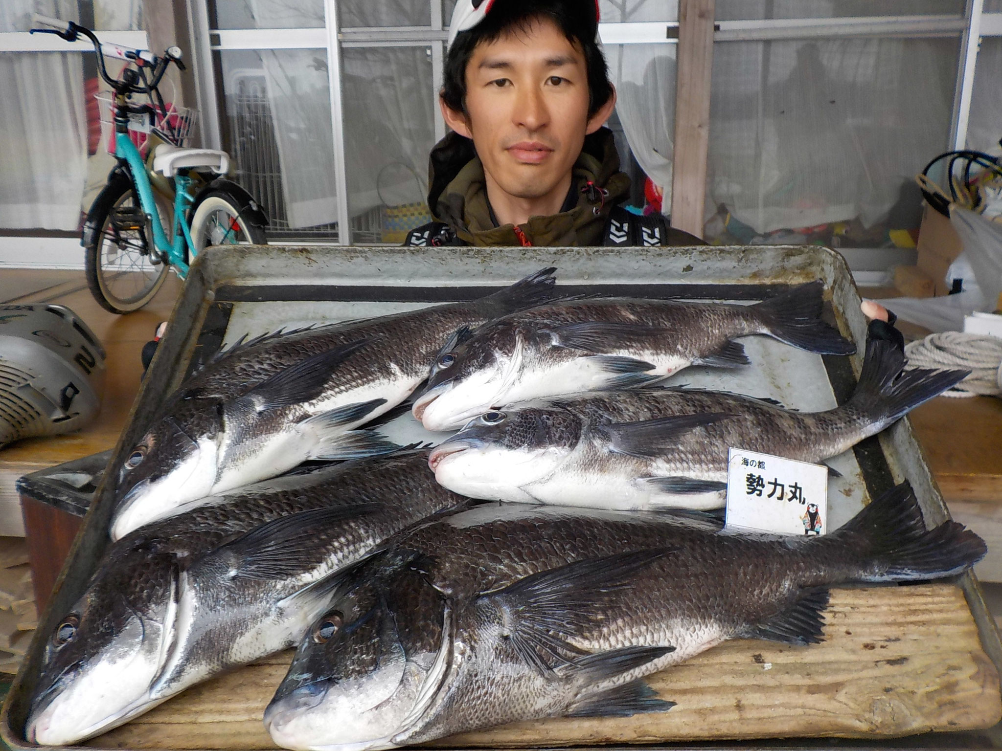 ３月１３日　磯釣りで片山さん　ガバチヌ５０．６㎝