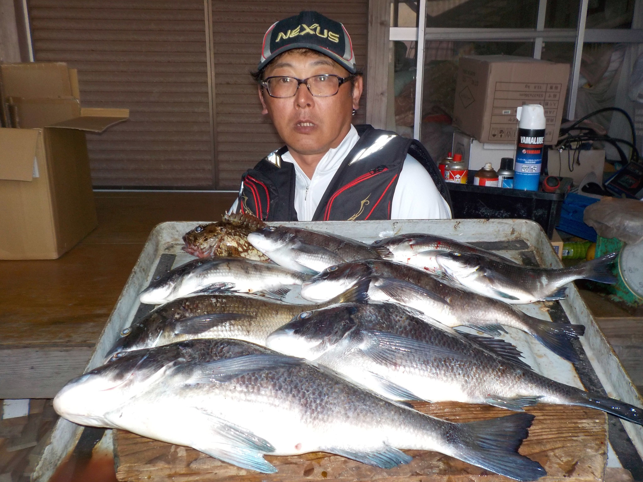 ３月１７日　磯釣りで有馬さん　ガバチン５０㎝