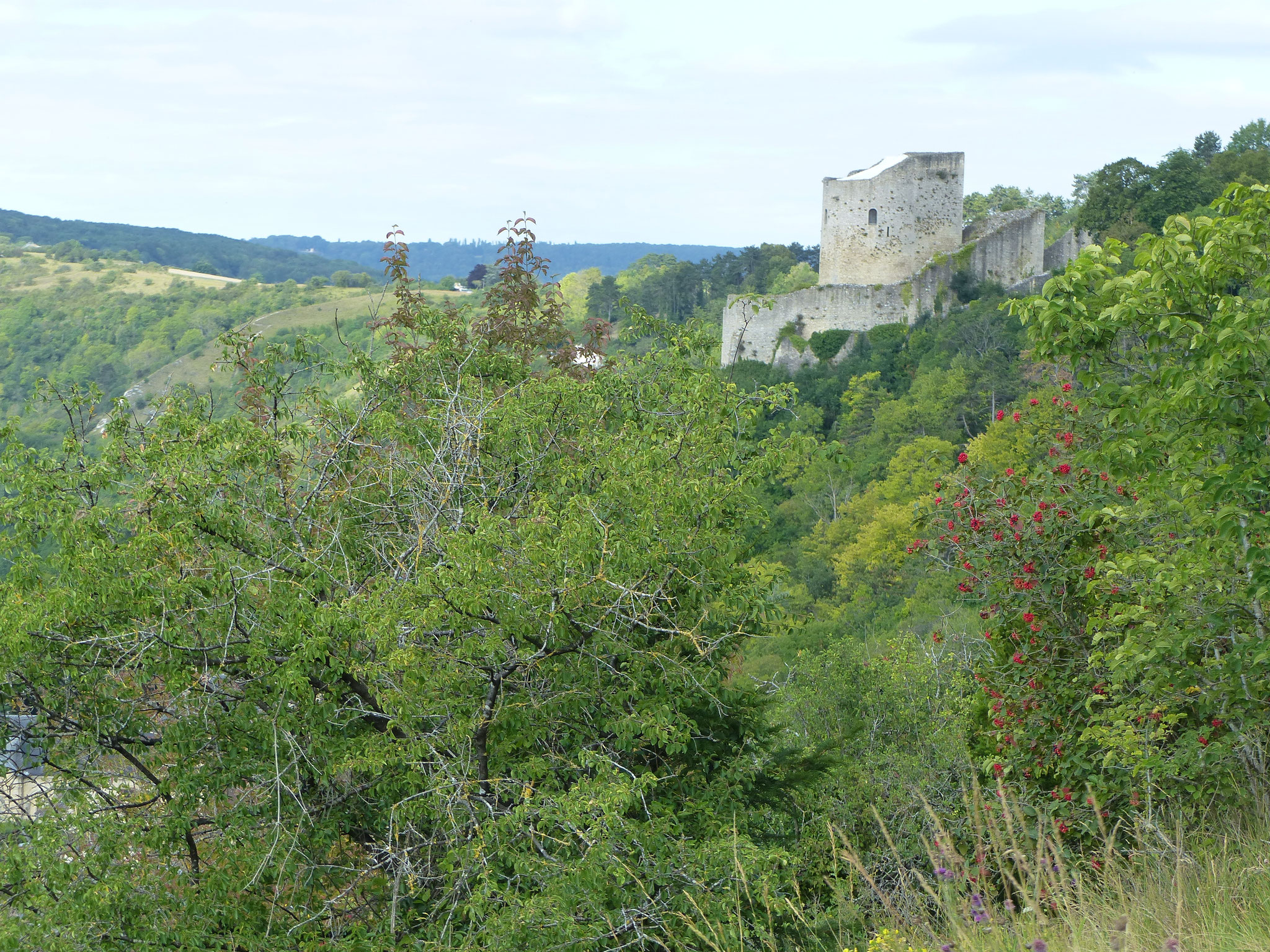 La Roche Guyon