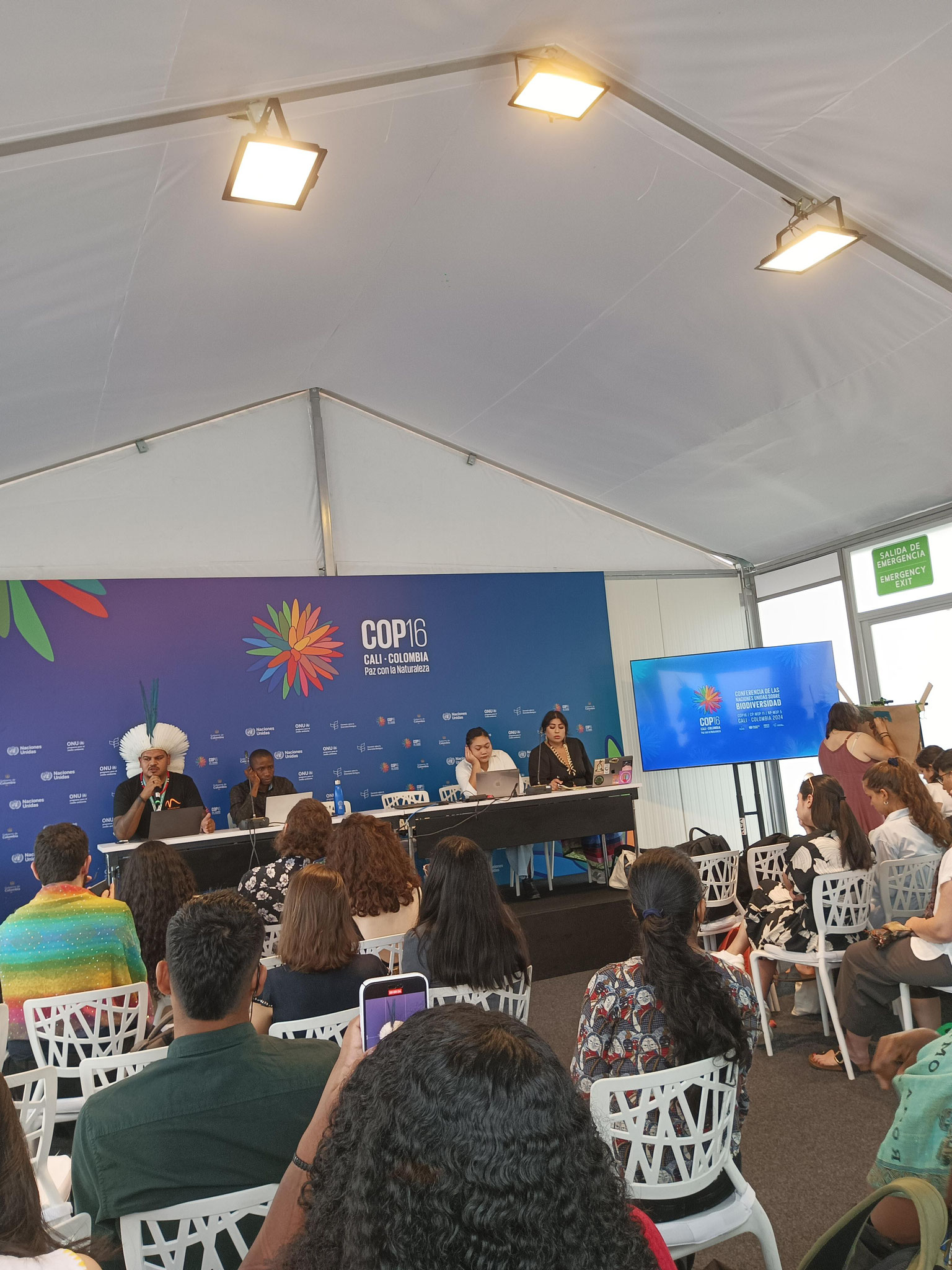 Auf der COP16 sind viele Vertreter*innen indigener Gemeinschaften präsent. Sie verhandeln zum Beispiel darüber, ob ihre beratende Rolle endlich institutionalisiert wird, um permanente Beteiligung zu sichern. Foto: Johanna Reichel