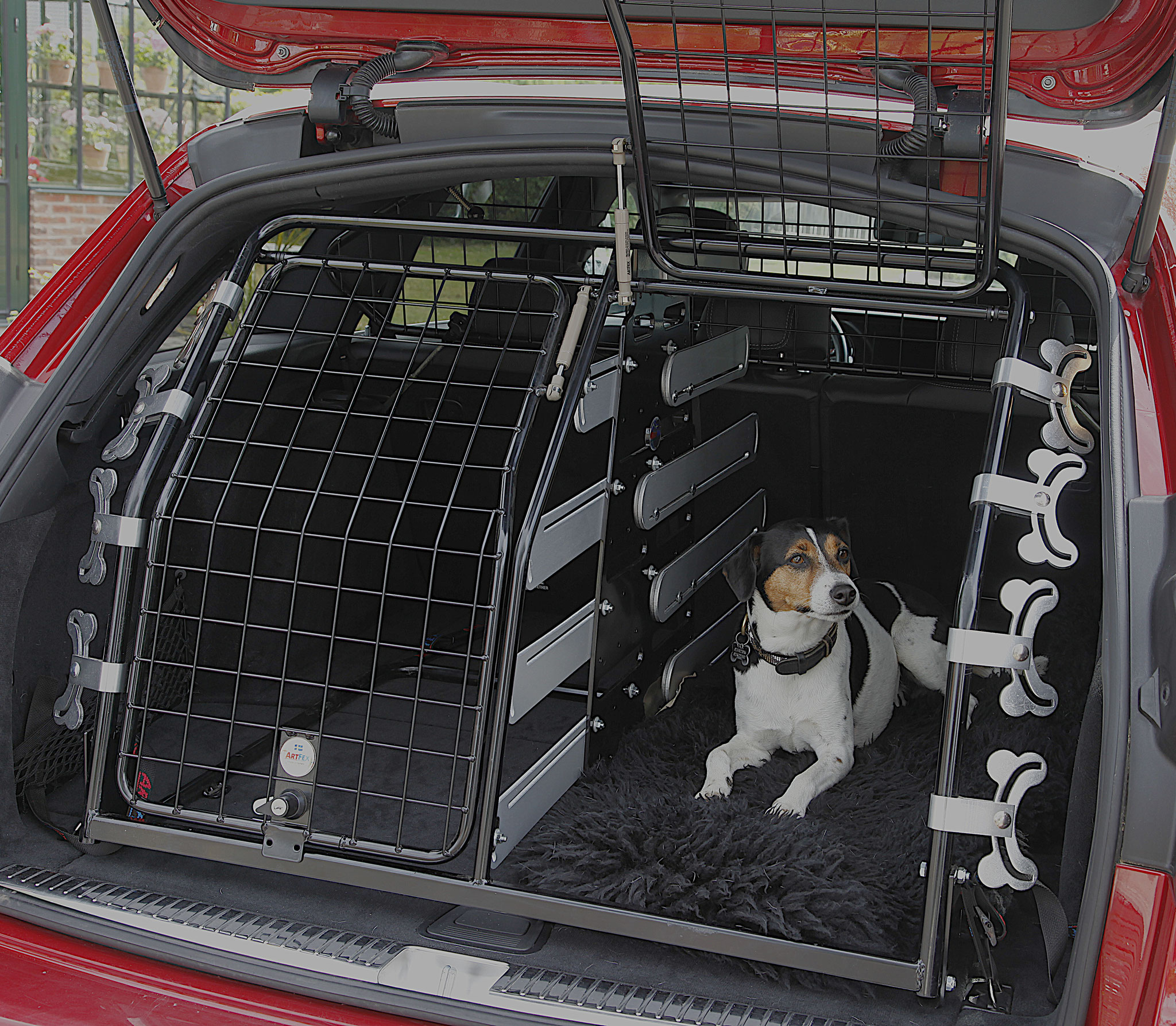 Gurt, Box oder Beifahrersitz?: So transportiert man Hunde sicher im Auto -  Region & Land - Schwarzwälder Bote