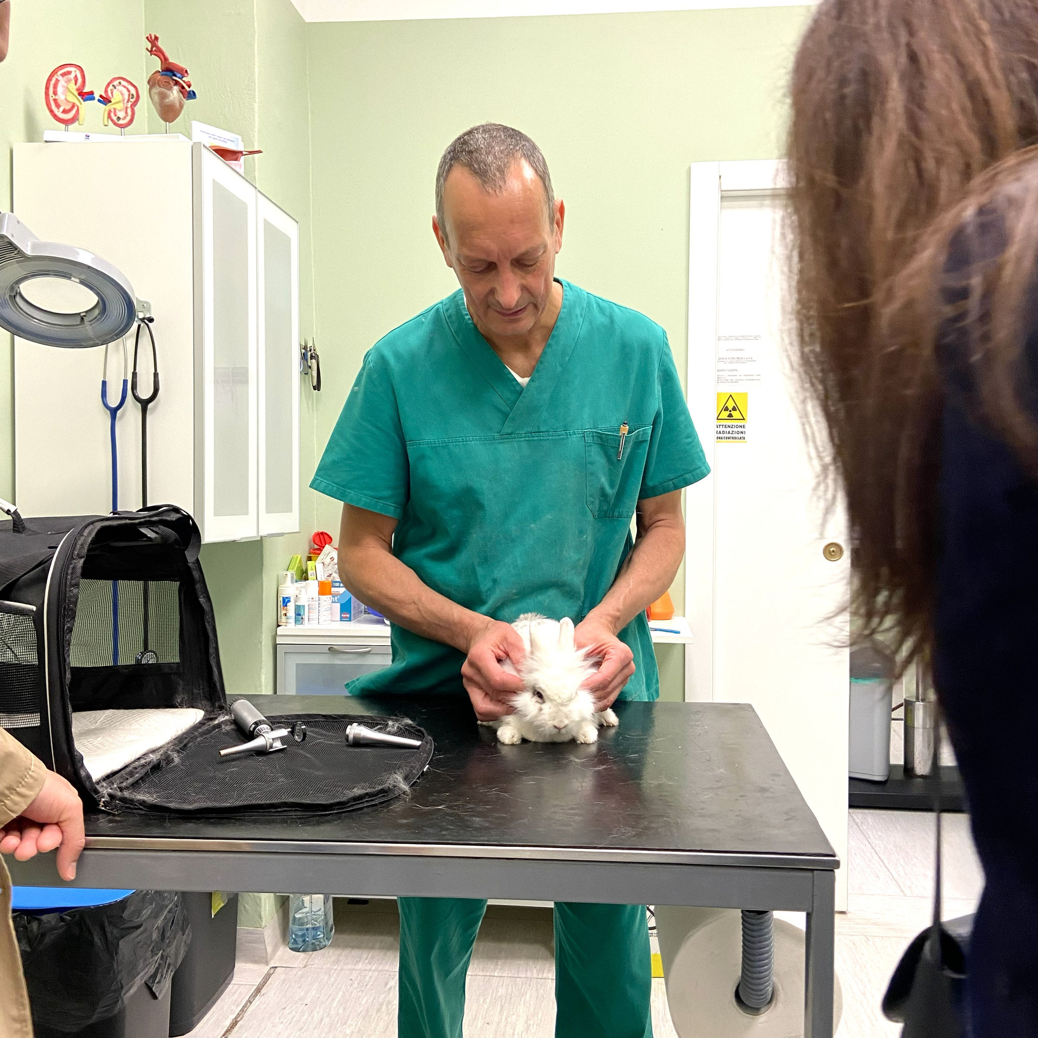 veterinario conigli milano