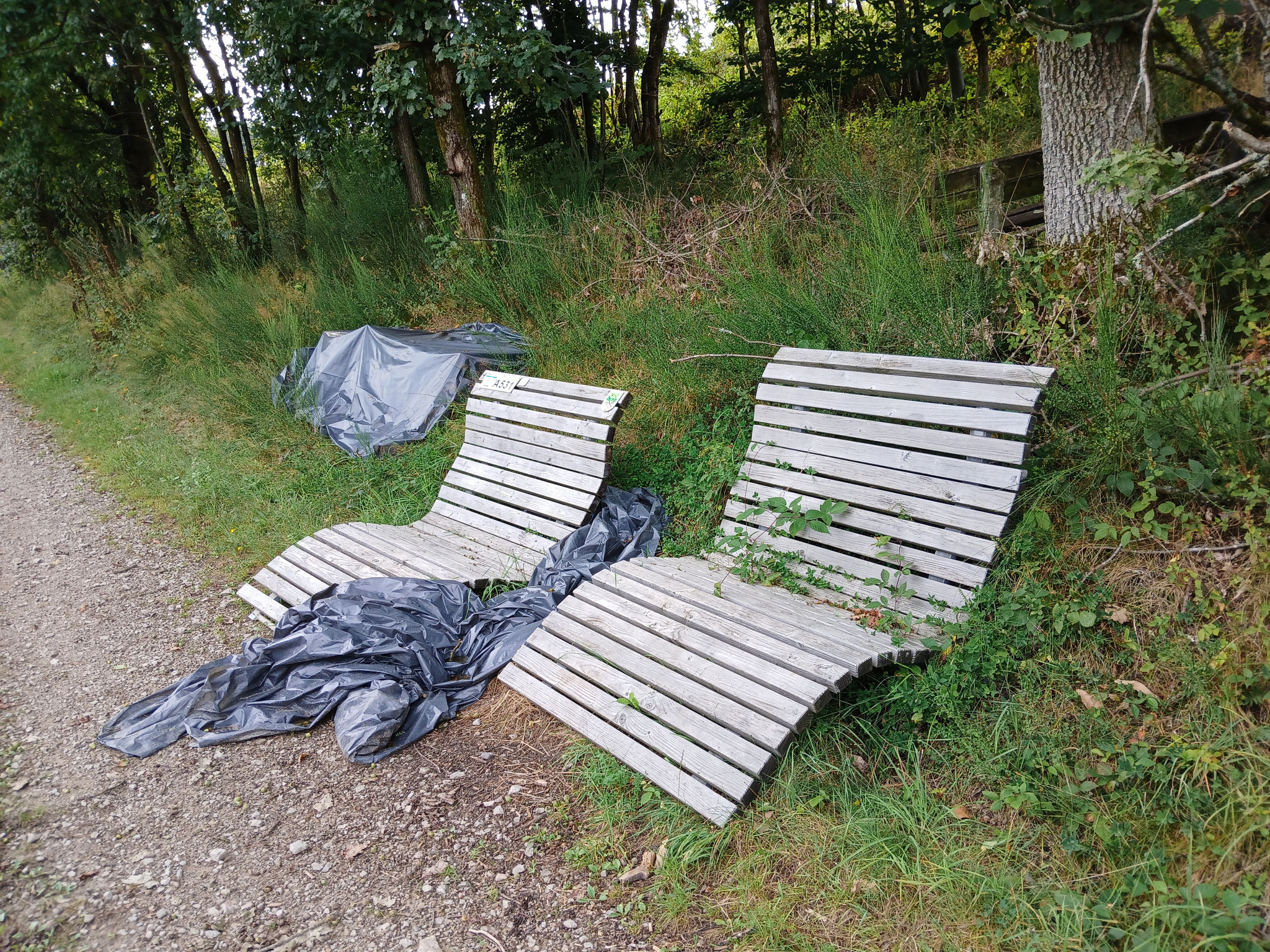 18.8.24 Bänke demontiert