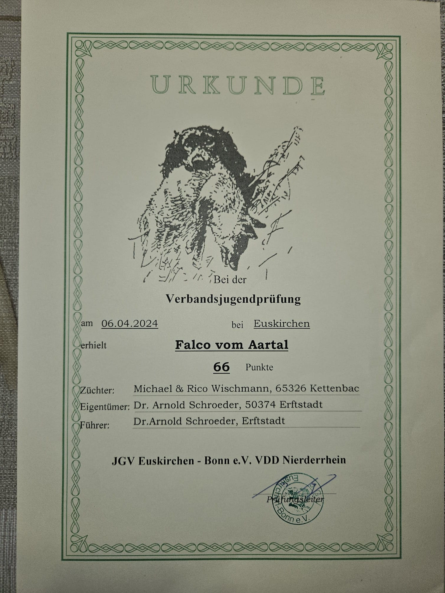 Jugendsuche VJP