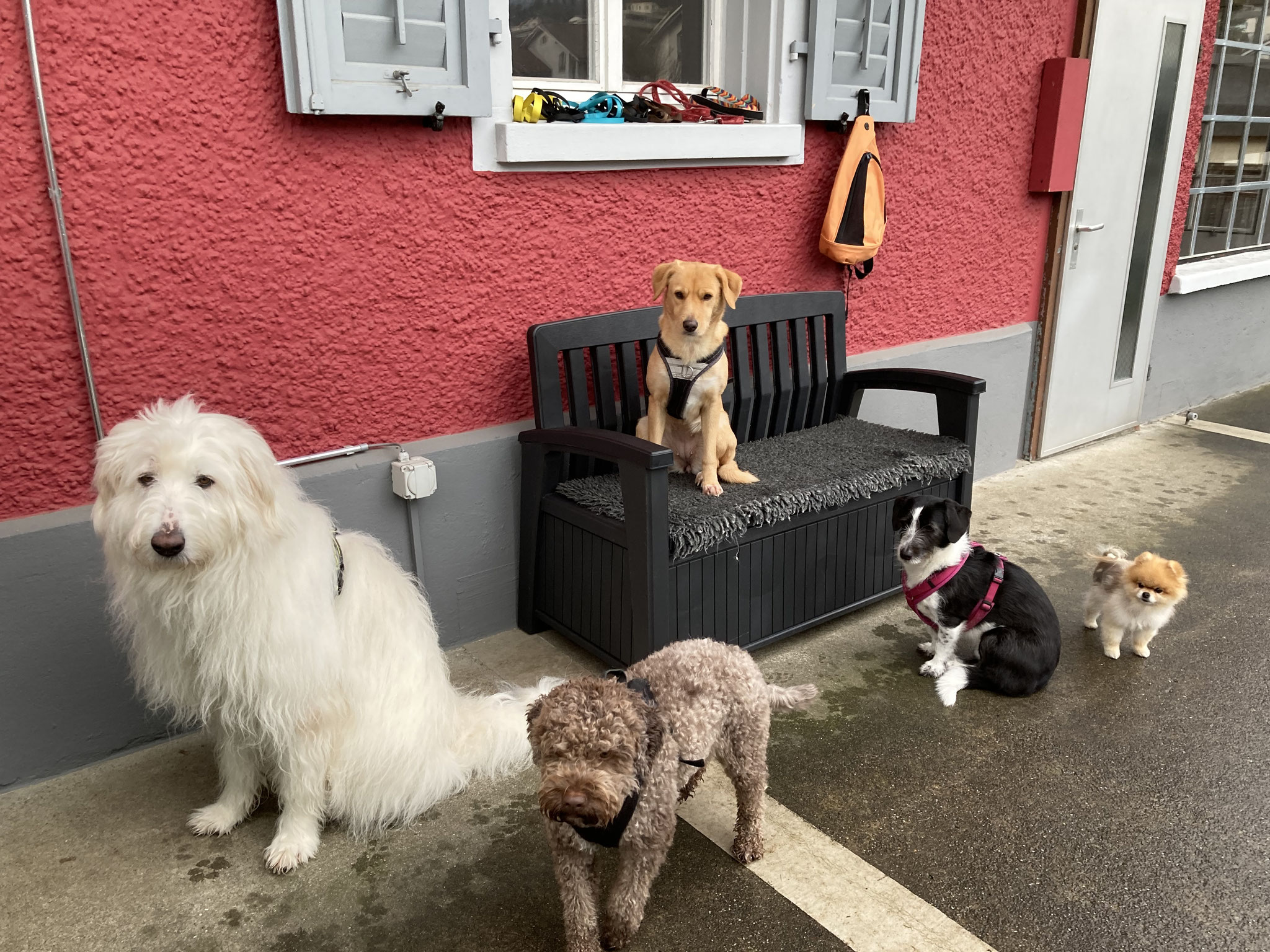 parat für die Morgenrunde