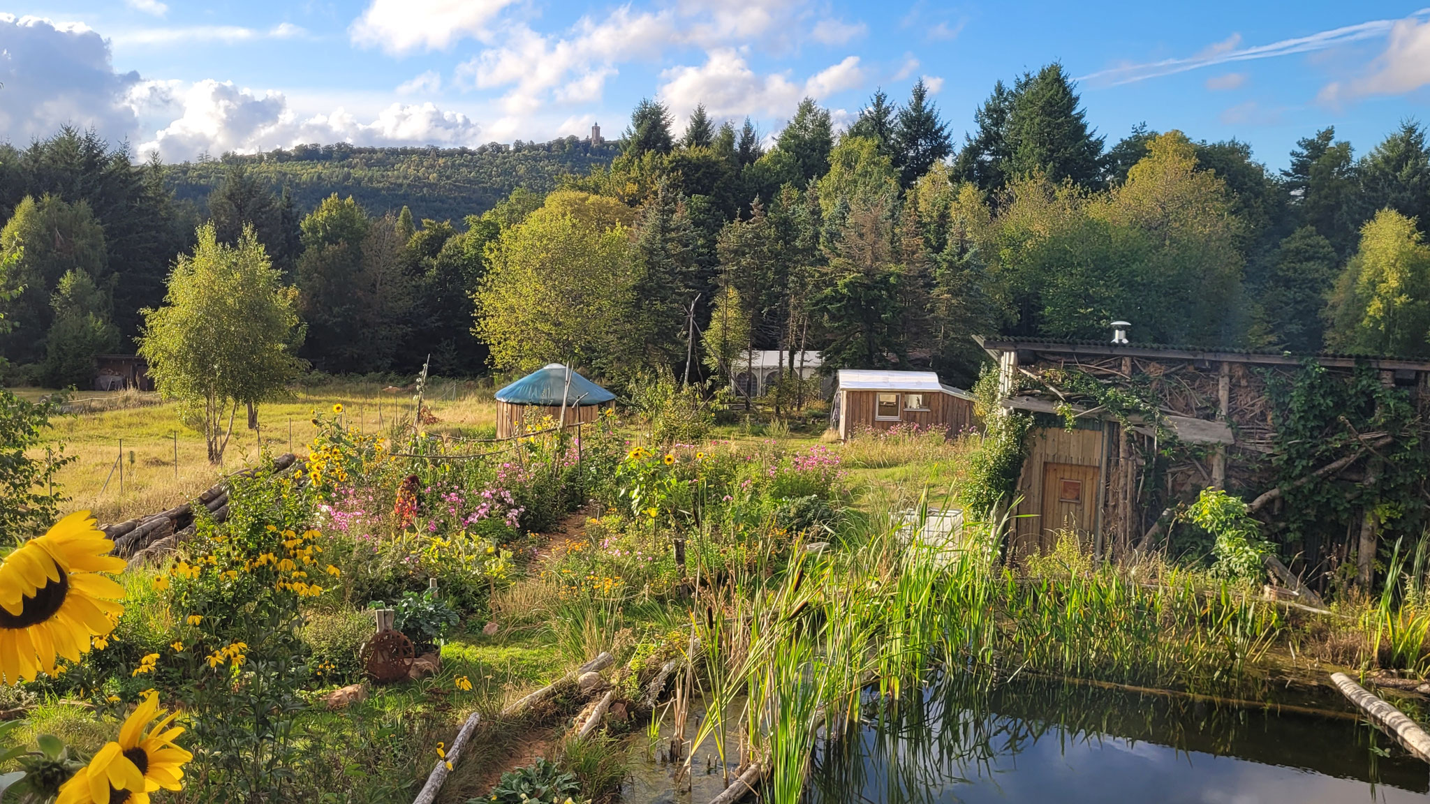 Blick von der TinyHaus Terrasse mit Naturbadeteich