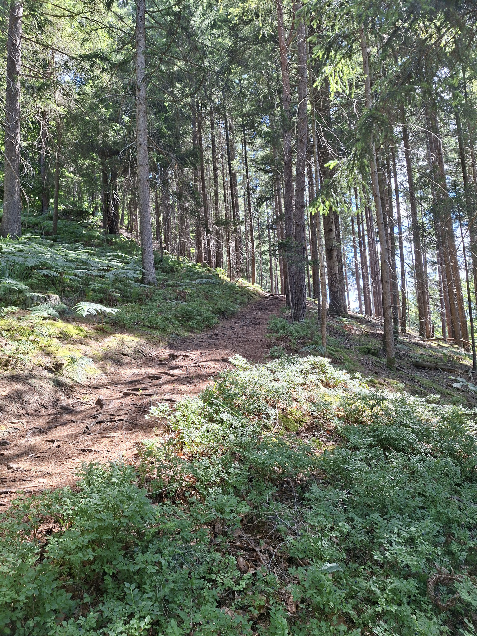 Felsenpfad