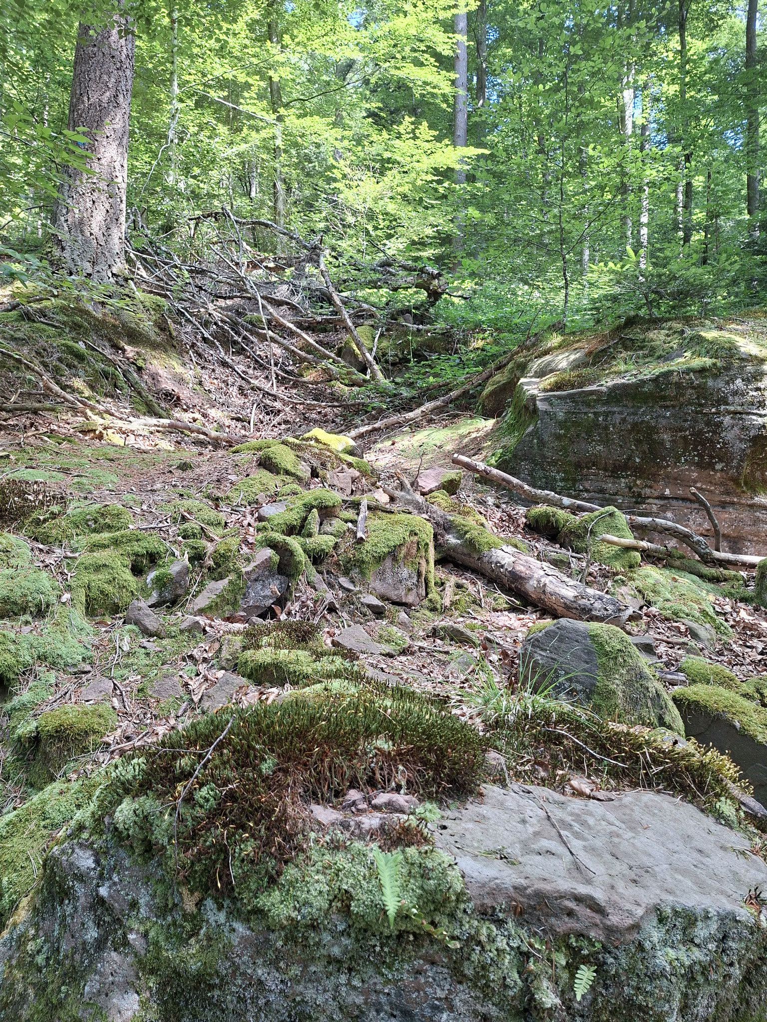 Felsenpfad