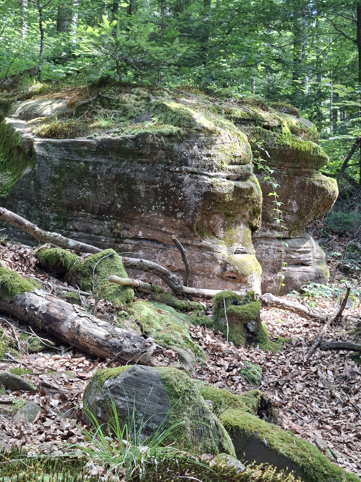 Felsenpfad