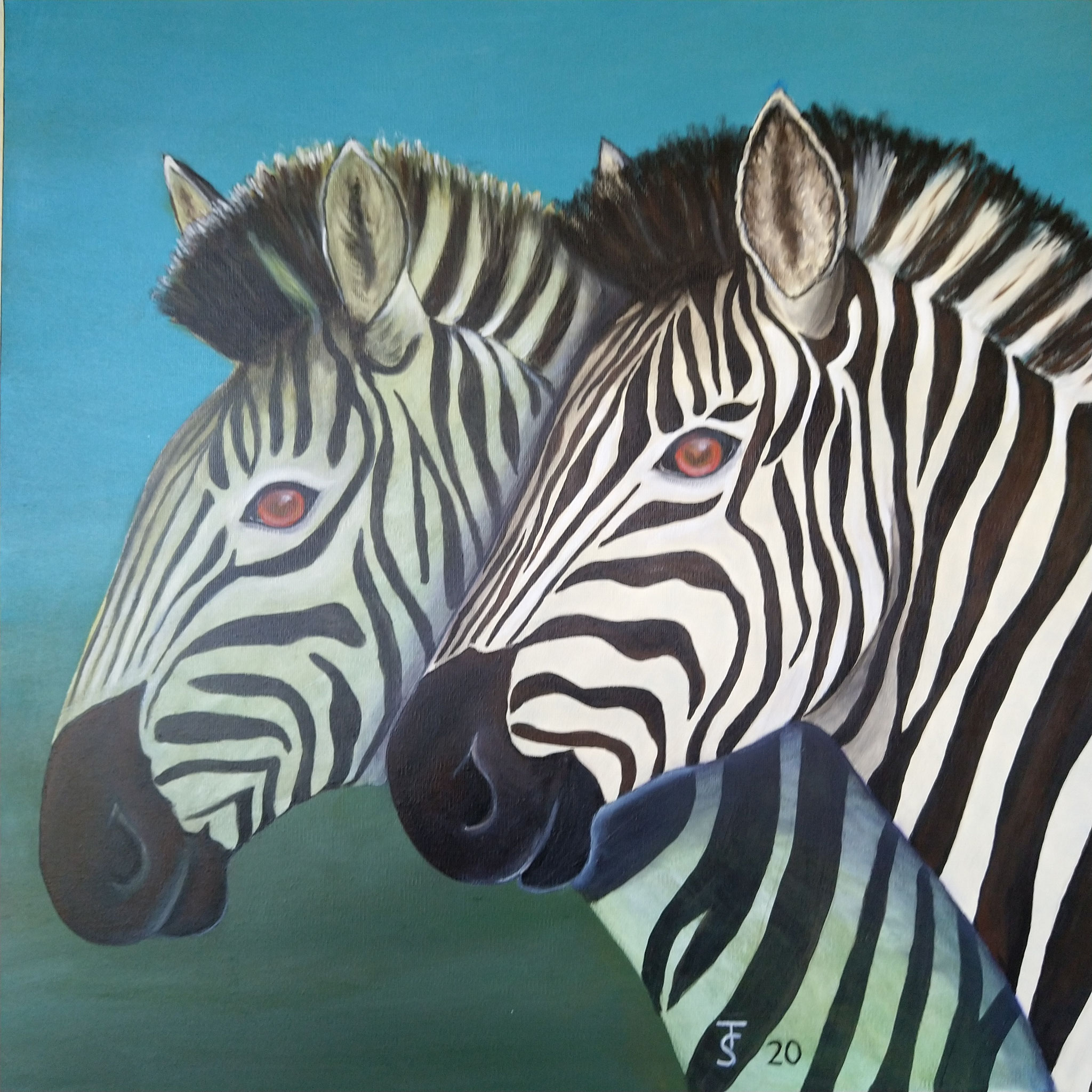 Zebras  _   (Acryl auf Leinwand, 70 x 70 cm)  