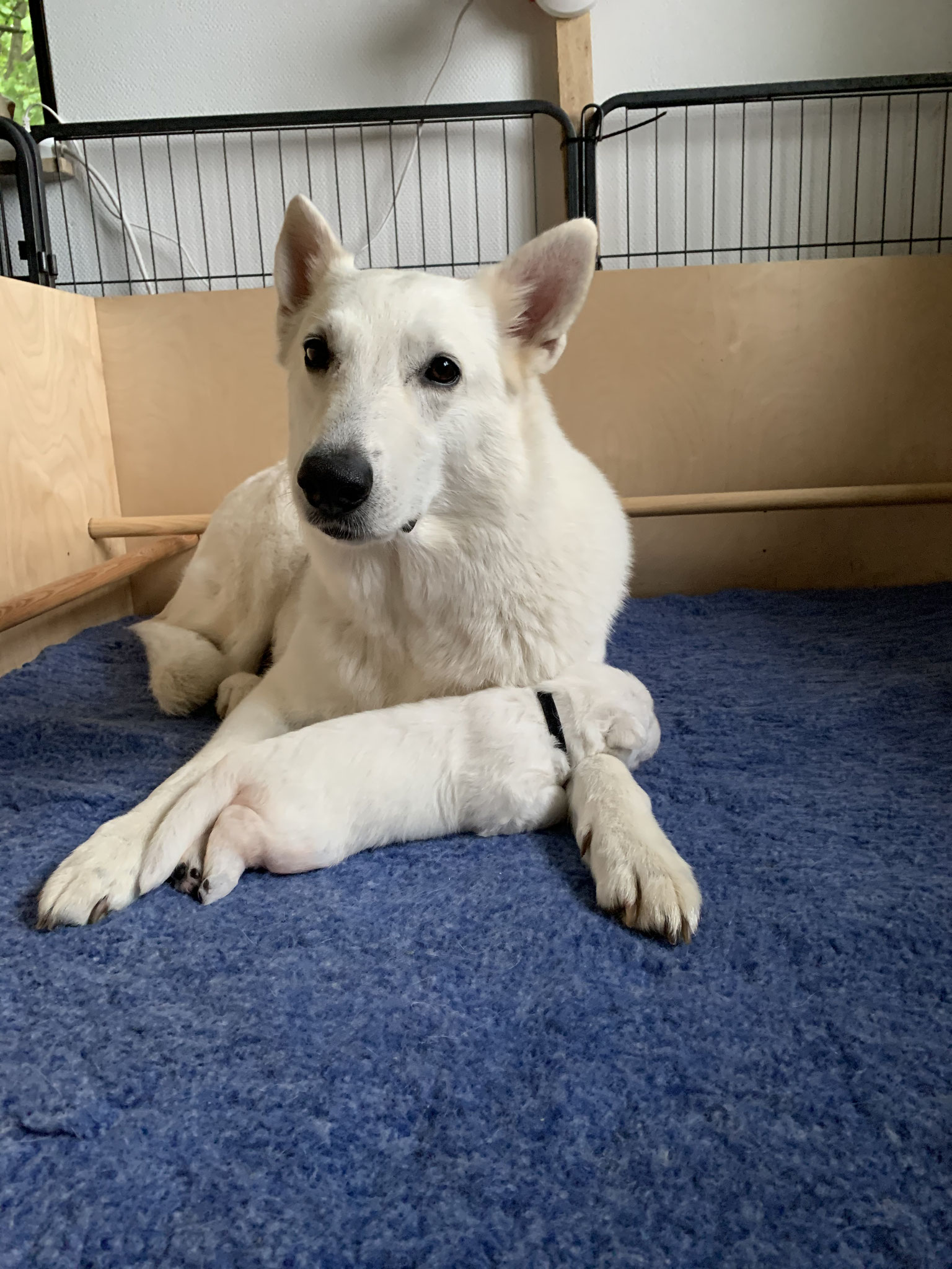 bei Mama ist es am schönsten