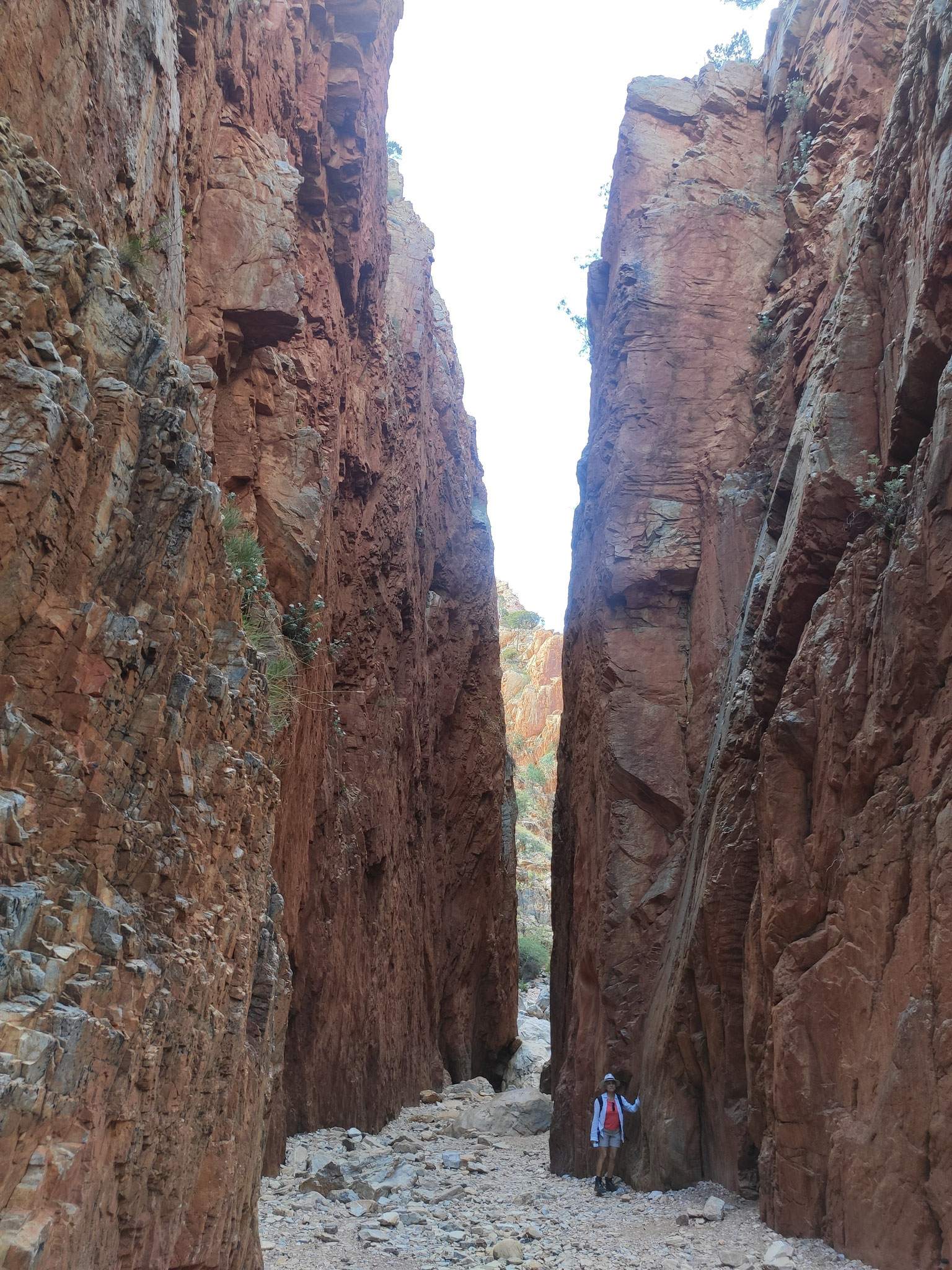 Desfiladero de Standley (Standley Chasm)