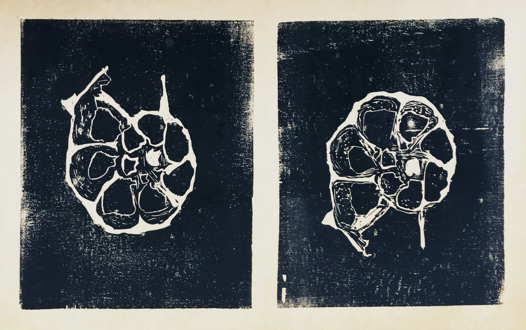 Foram rechts - links, auf Packpapier