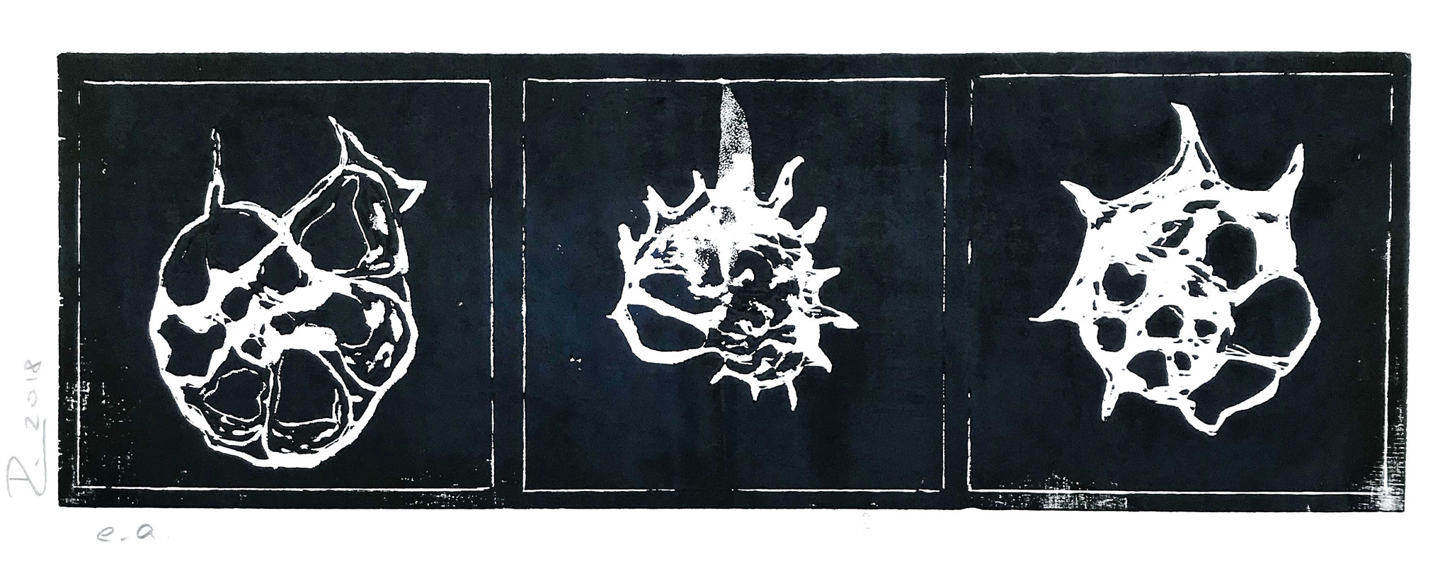 blauschwarzer Druck, ca. 20 x 50 cm