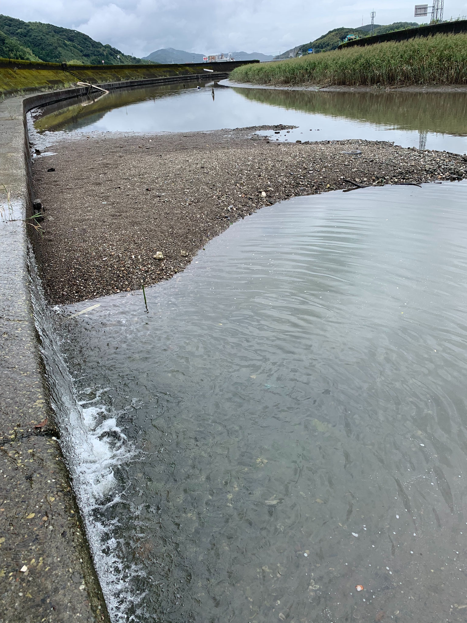 生活排水の流れる川です。