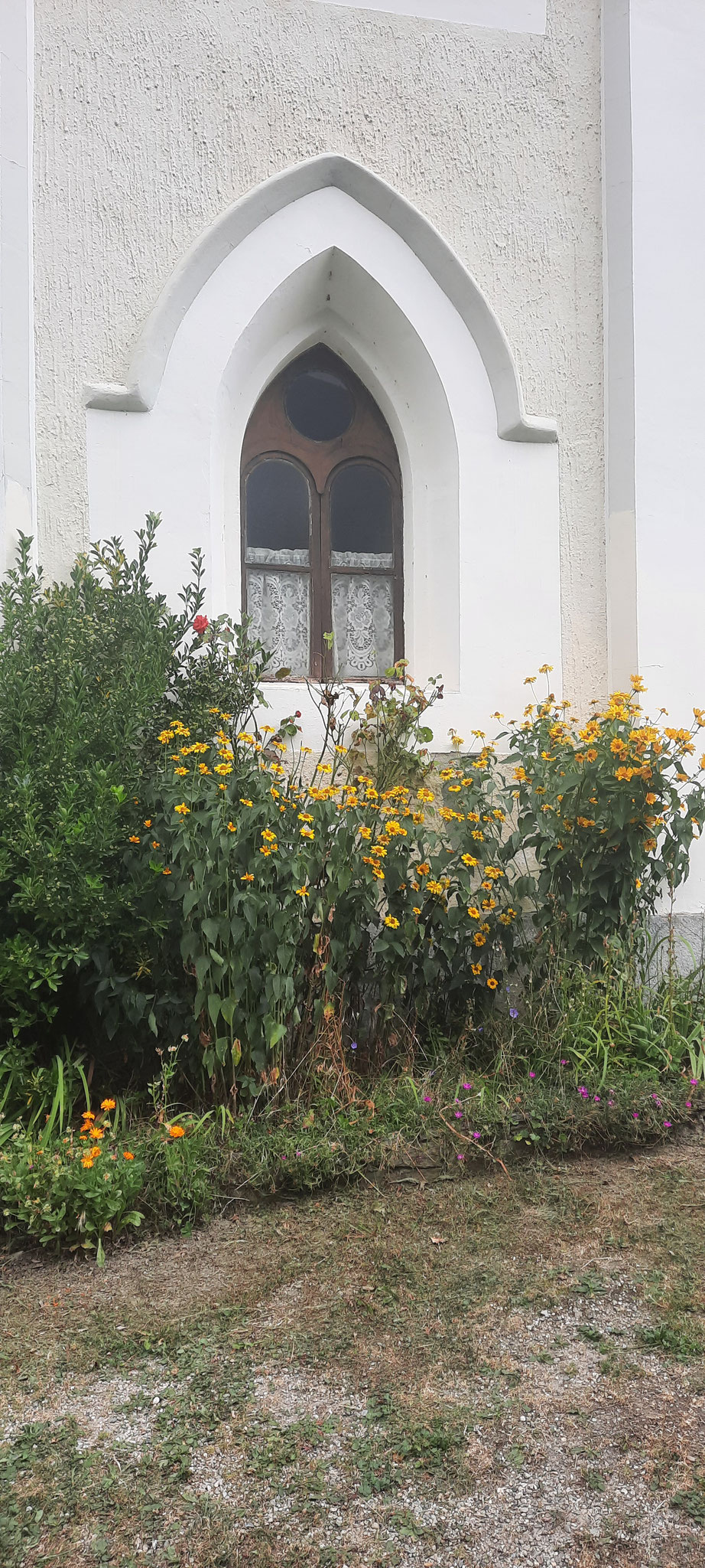 Blick ins Fenster