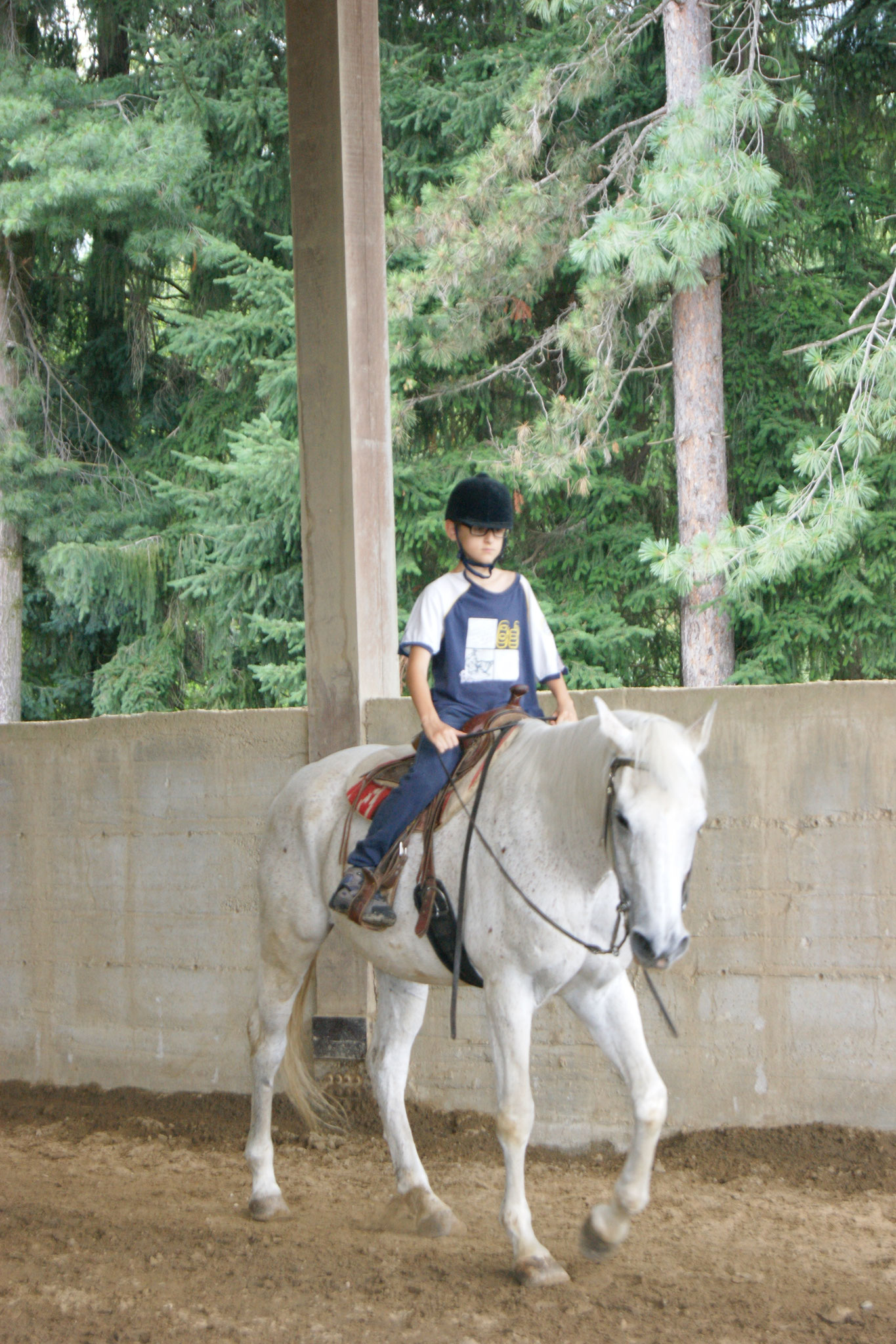 Equitazione