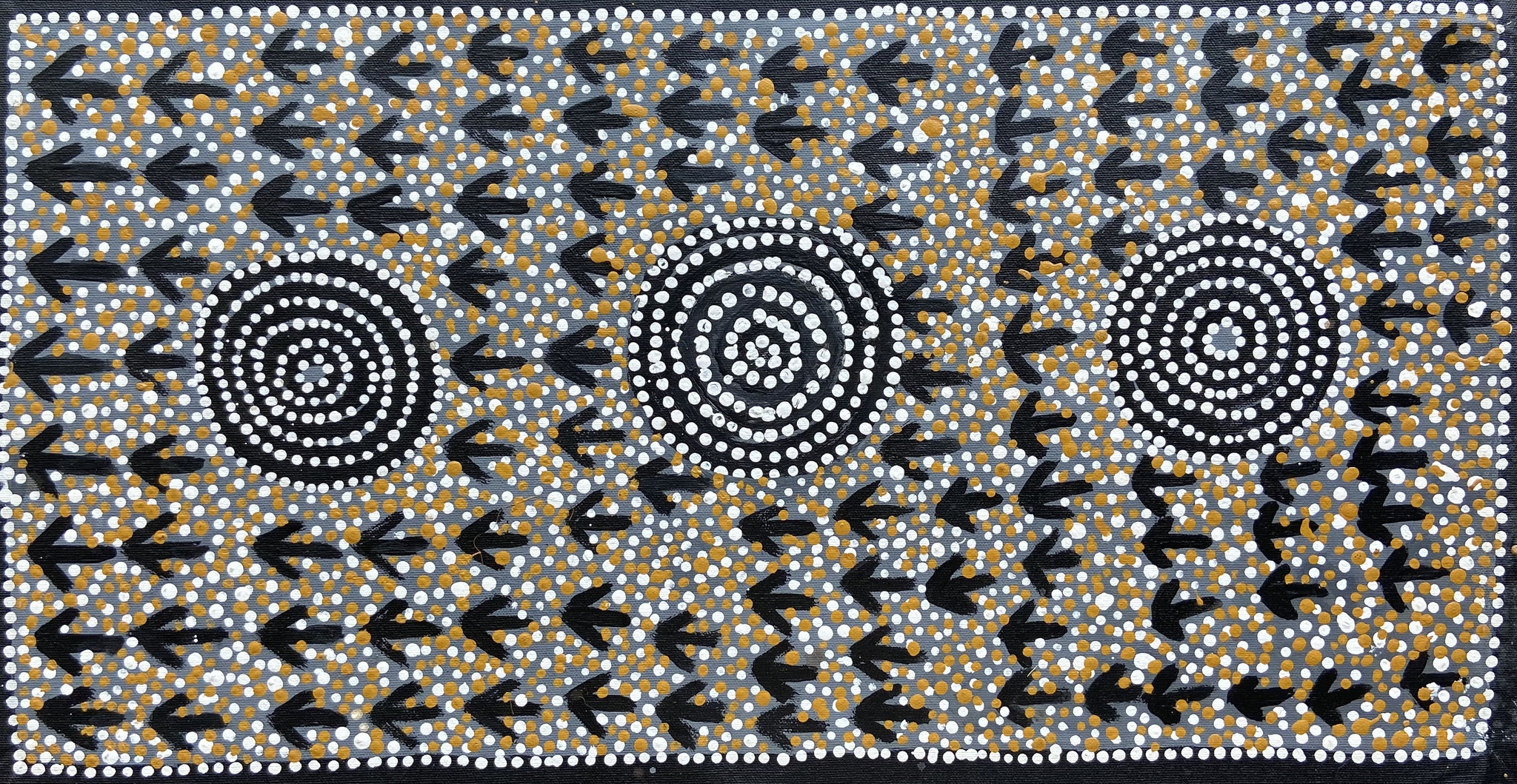 13ハロルド・パイン30 x 60cmワイルド・ピジョン・ドリーミング