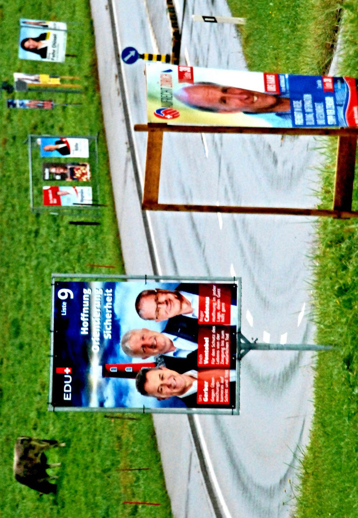 21. Oktober 2023 - Schon nächste Woche - nach den Wahlen - kommt sich die Kuh ganz verlassen vor. Die nächsten vier Jahre gehts ans Melken!