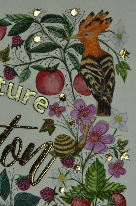 Enluminure création pour une étiquette de vin pour le domaine de l'Anchois réalisée par l'atelier sc-enluminure