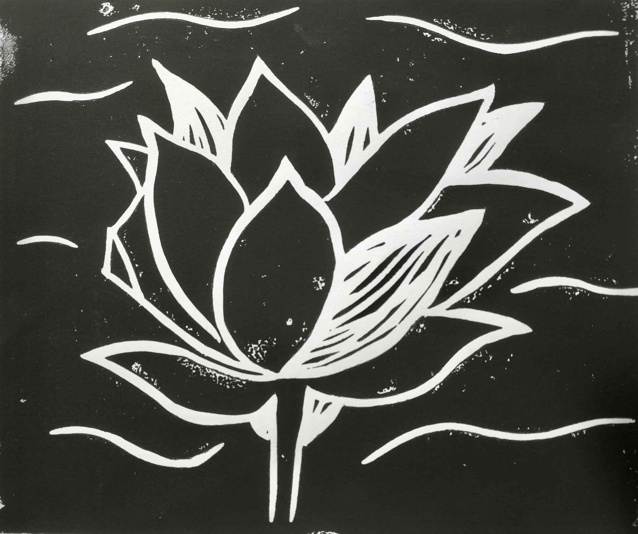 Lotusblume, 17x21cm, 2019