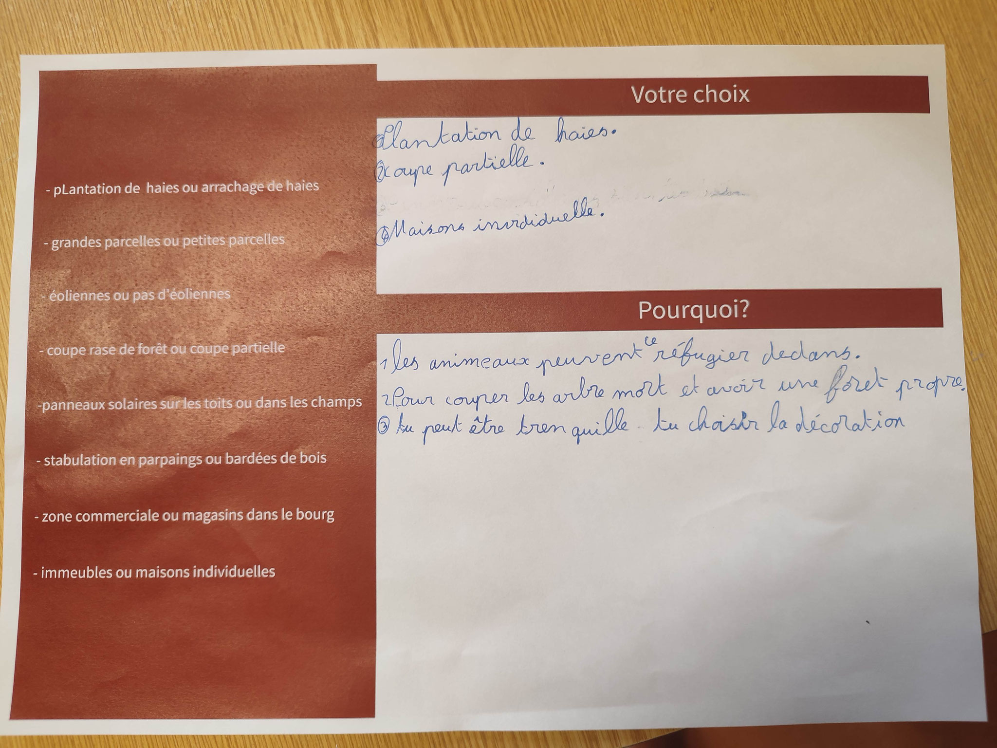 Séance 2 (CE-CM) - Exemple de programme d'élèves défendant leurs choix paysagers pour demain