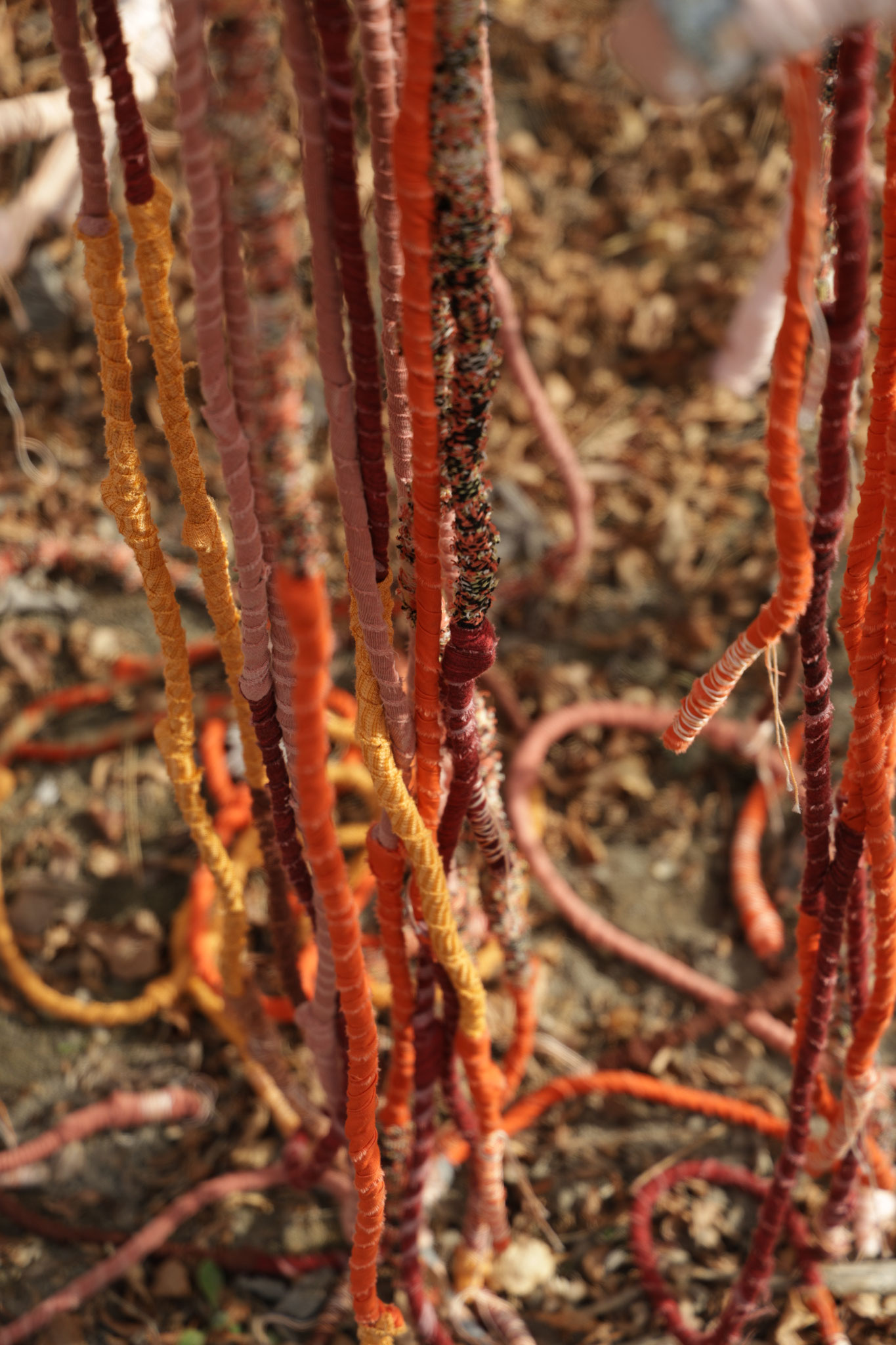 Sheltering roots to Pachamama (detail). Fotografie Yori Ettema
