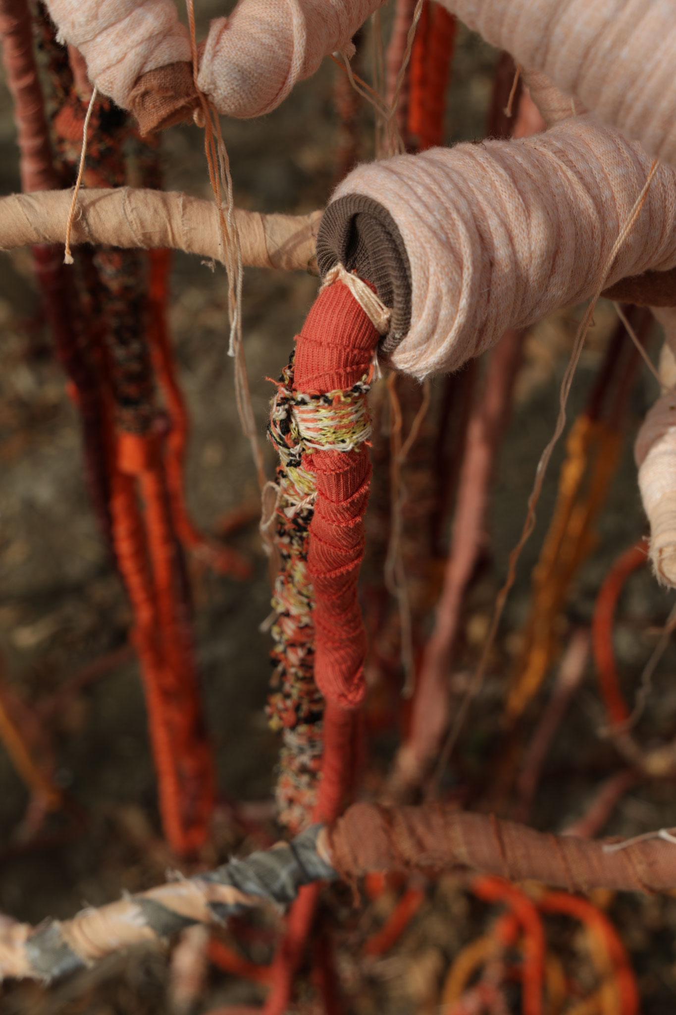 Sheltering roots to Pachamama (detail). Fotografie Yori Ettema