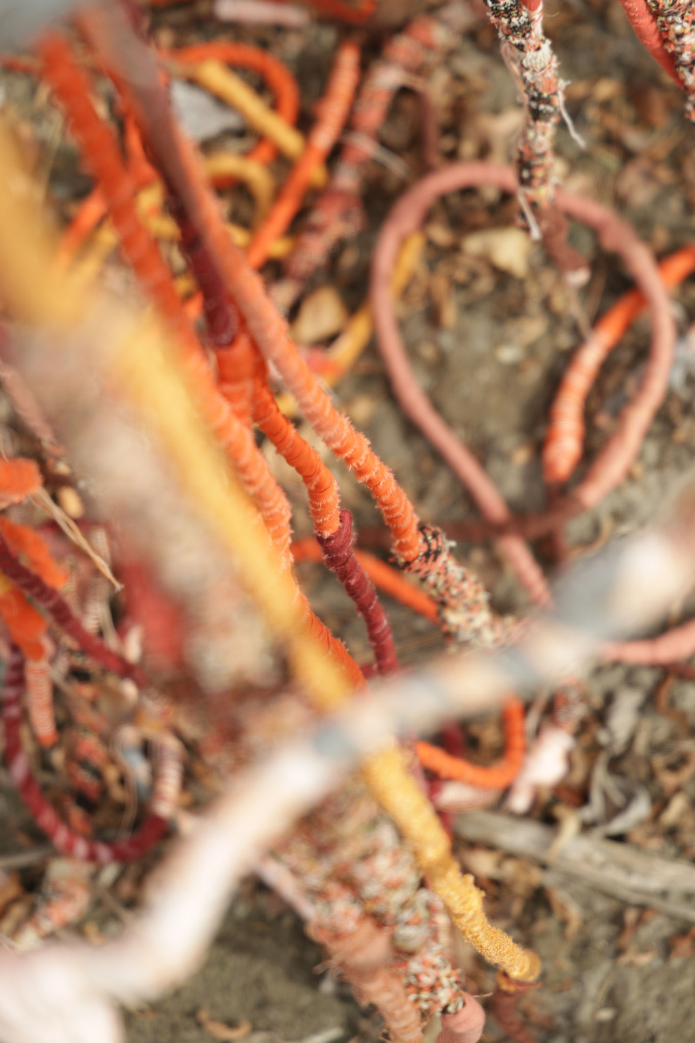 Sheltering roots to Pachamama (detail). Fotografie Yori Ettema
