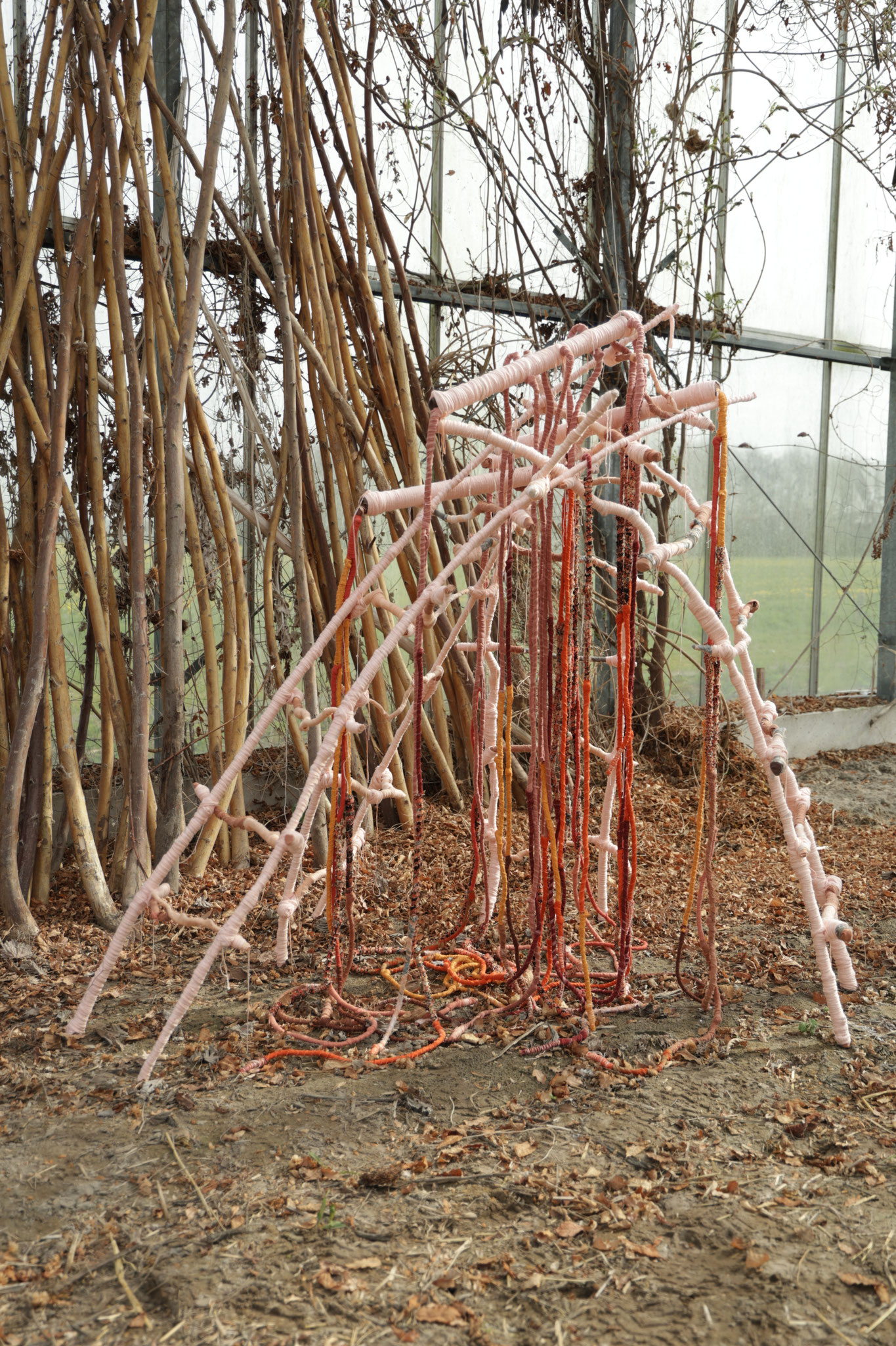 Sheltering roots to Pachamama (geheel). Fotografie Yori Ettema